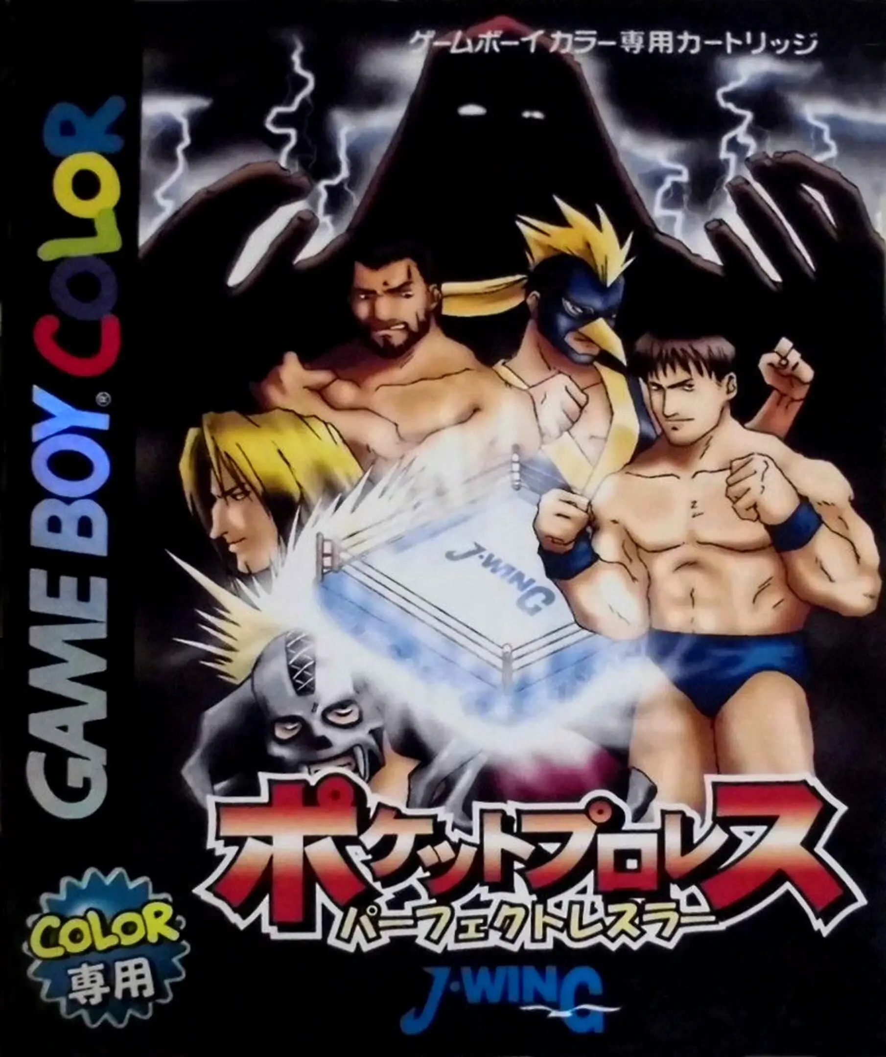 Picture of Pocket Pro Wrestling: Perfect Wrestler