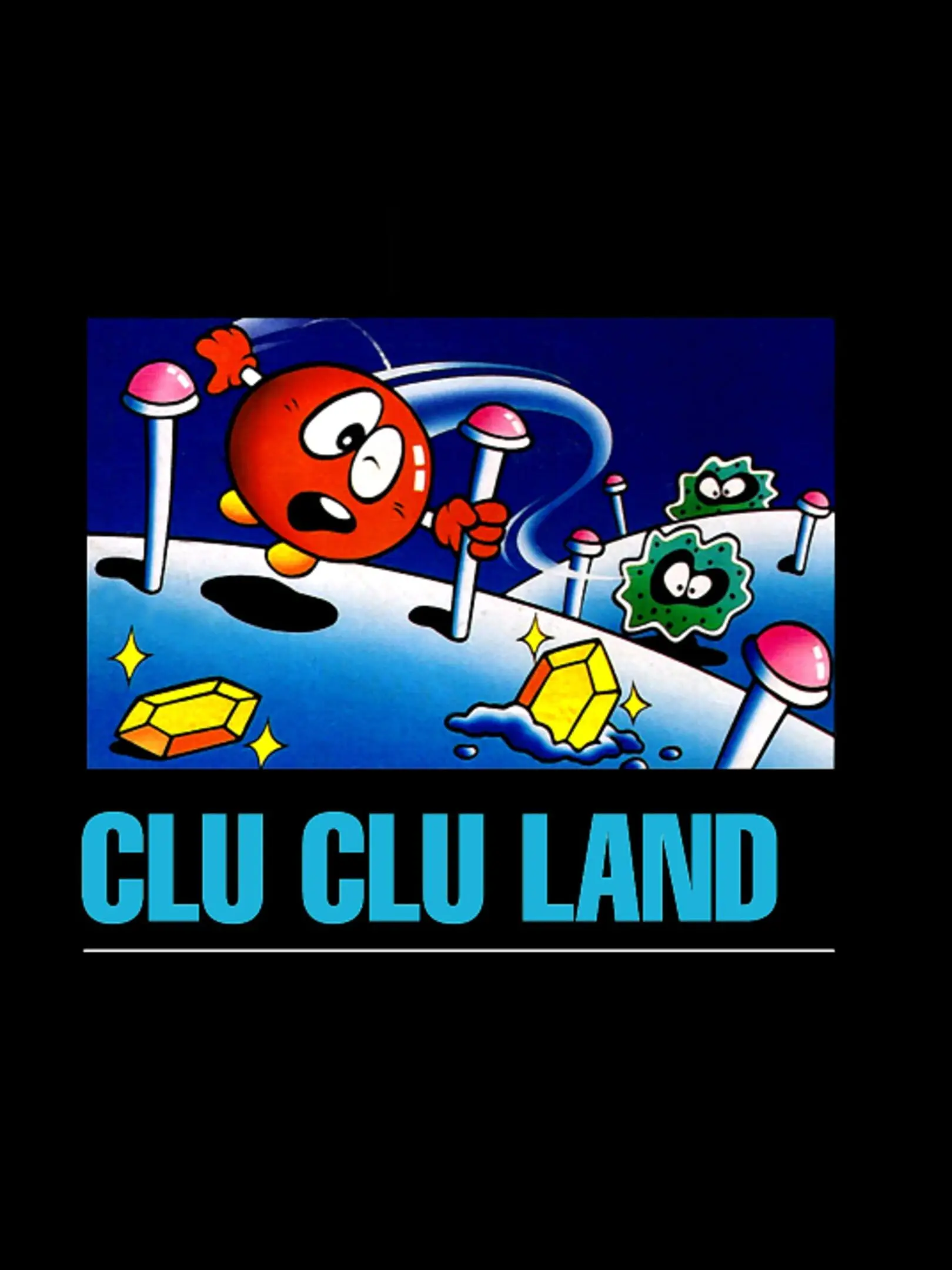 Picture of Clu Clu Land (3)