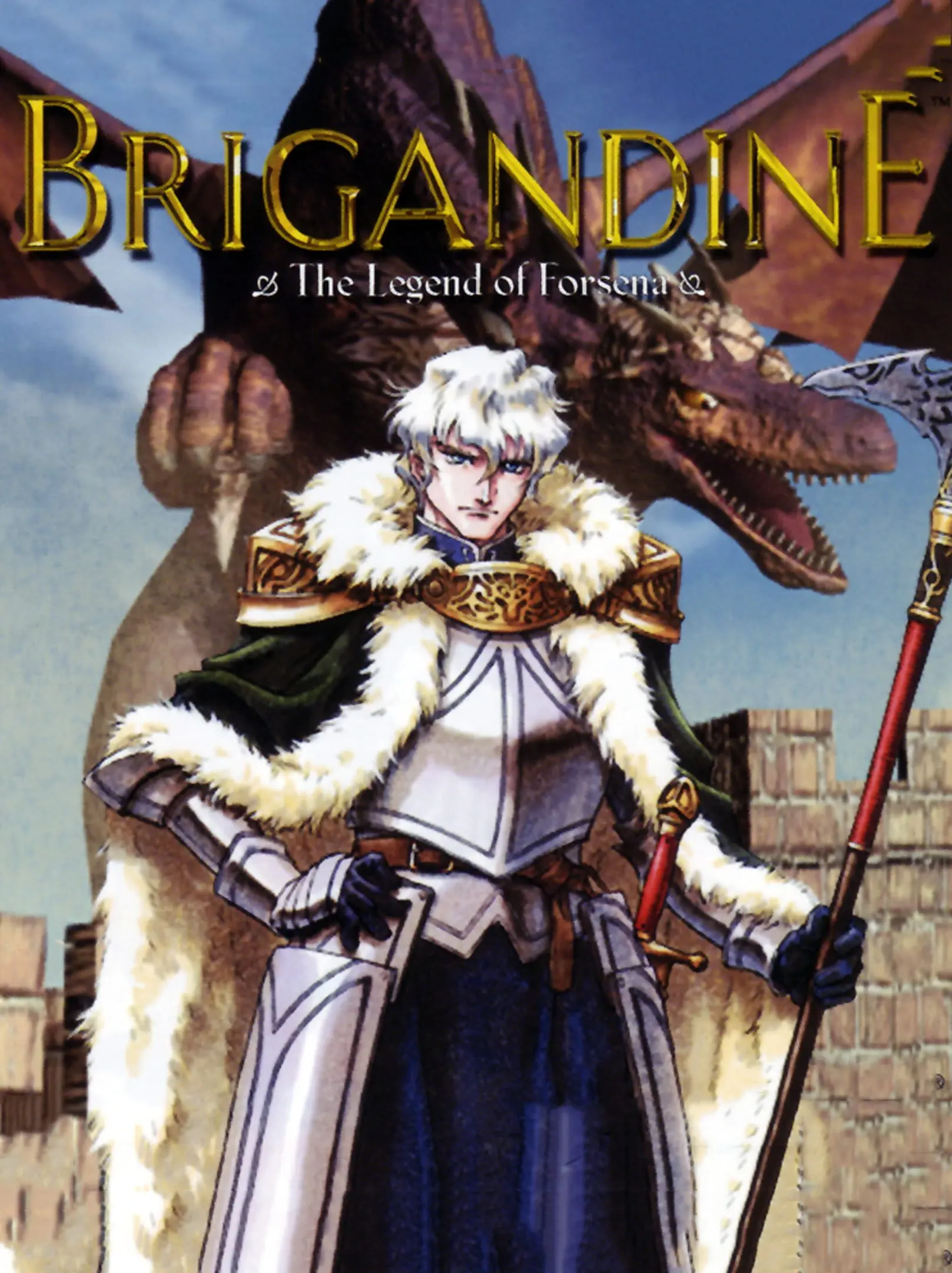 Picture of Brigandine