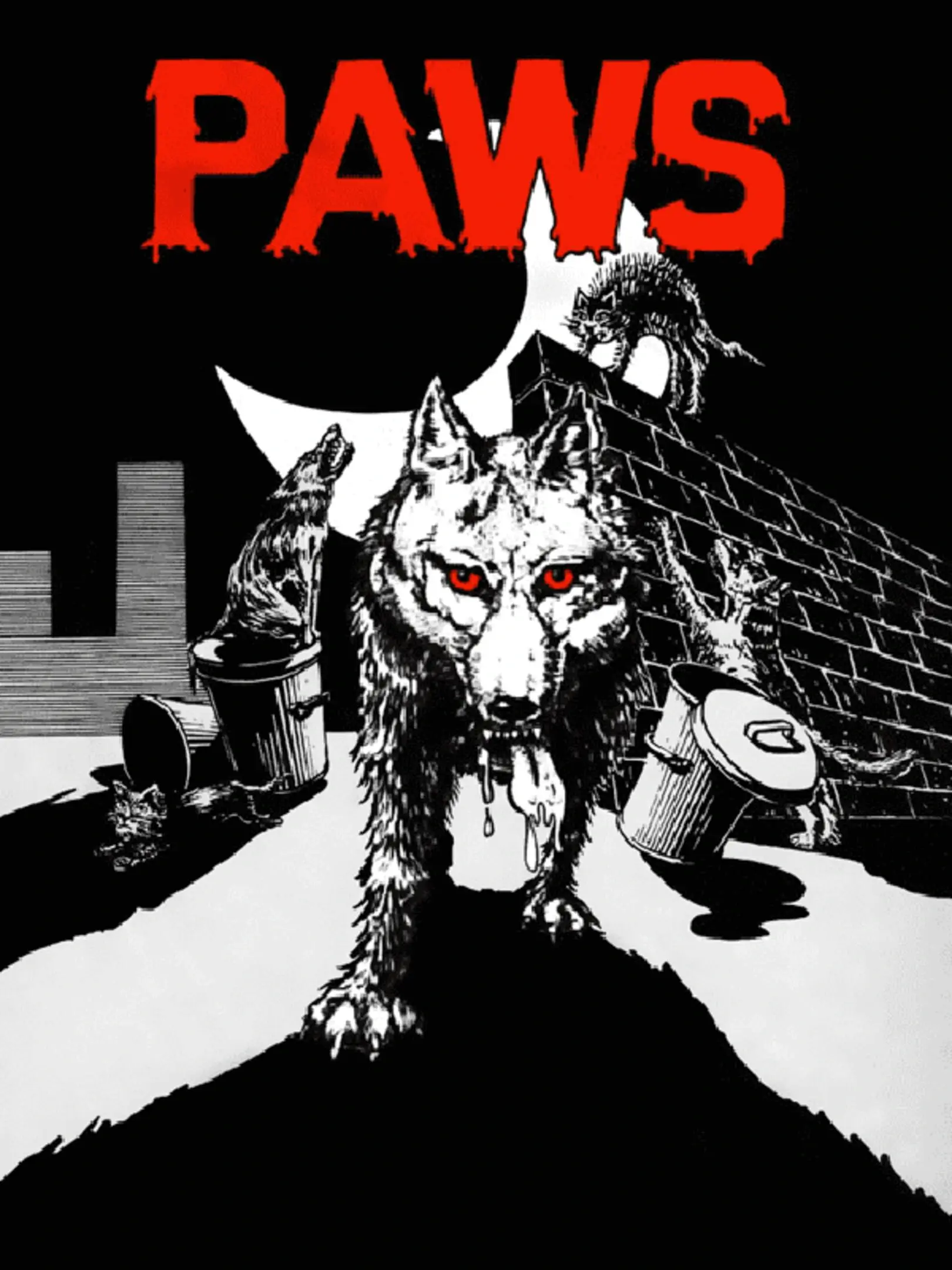 Picture of Paws