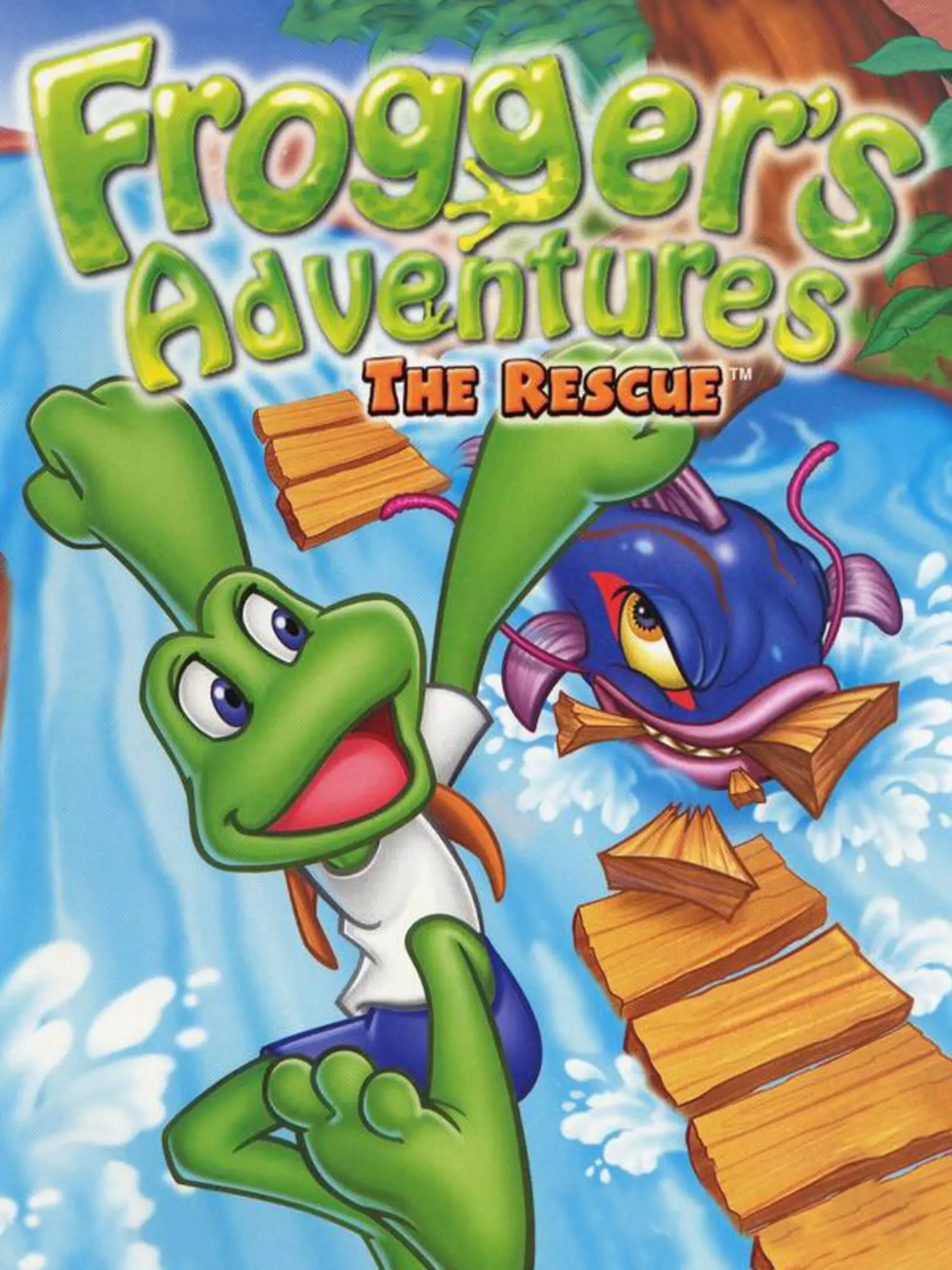 Picture of Frogger's Adventures: The Rescue