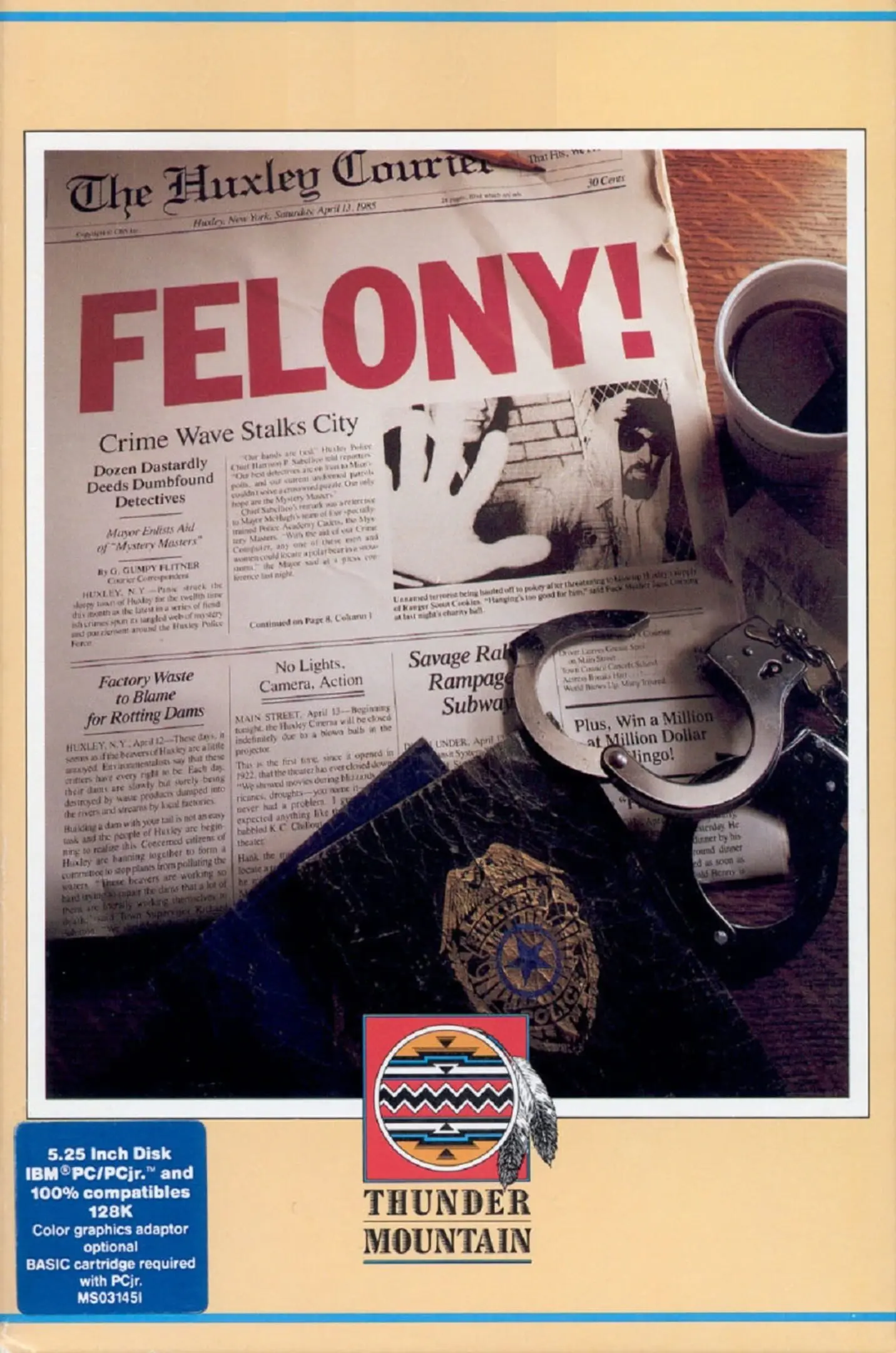 Mystery Master: Felony!