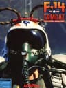 Picture of F-14 Tomcat
