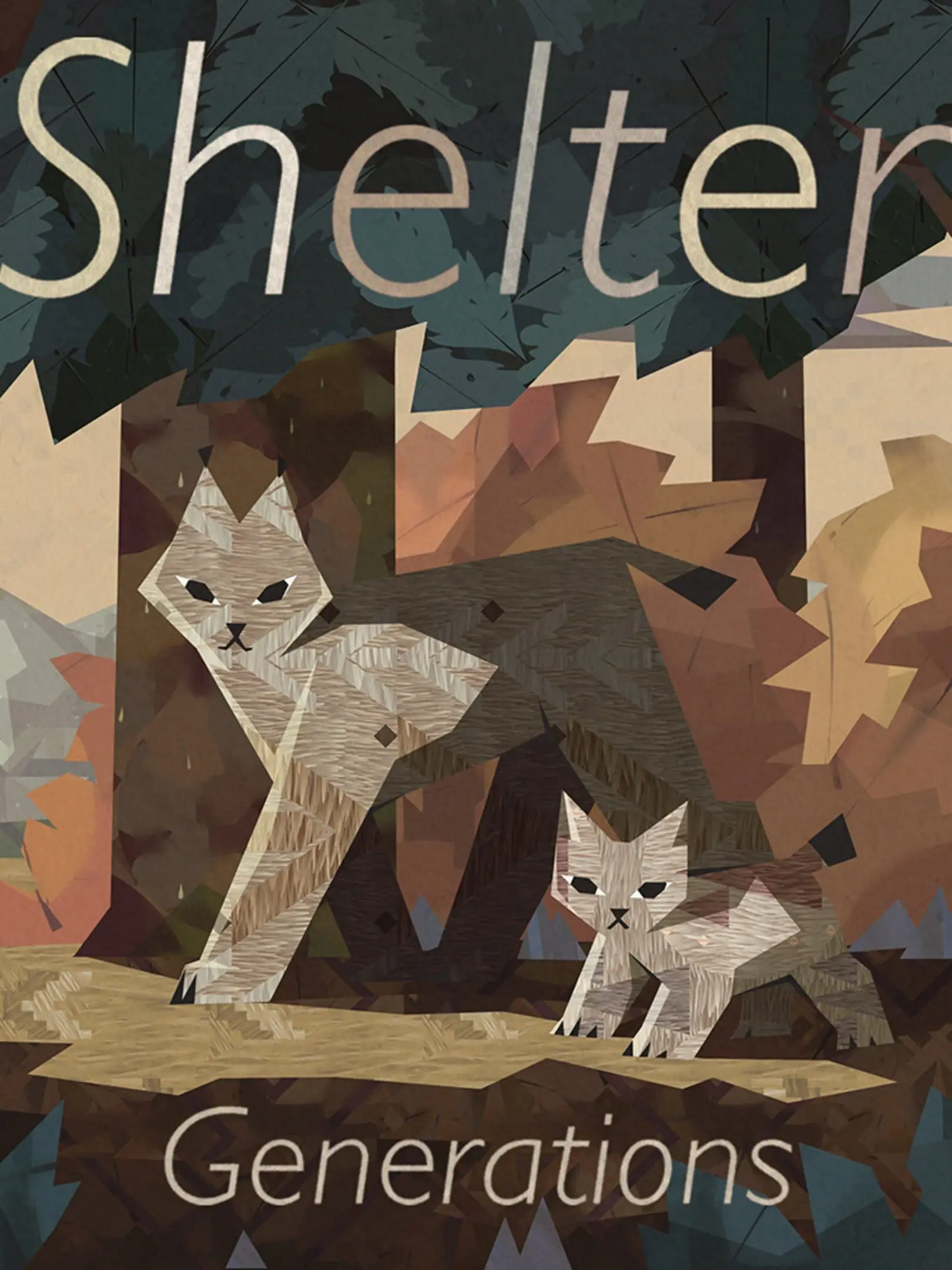 Picture of Shelter Generations