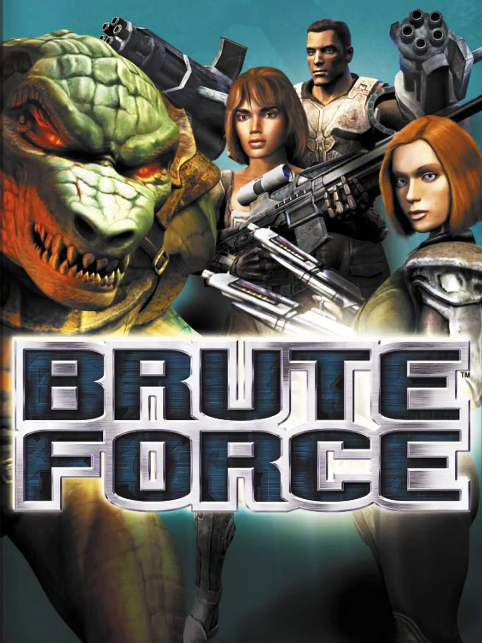 Picture of Brute Force