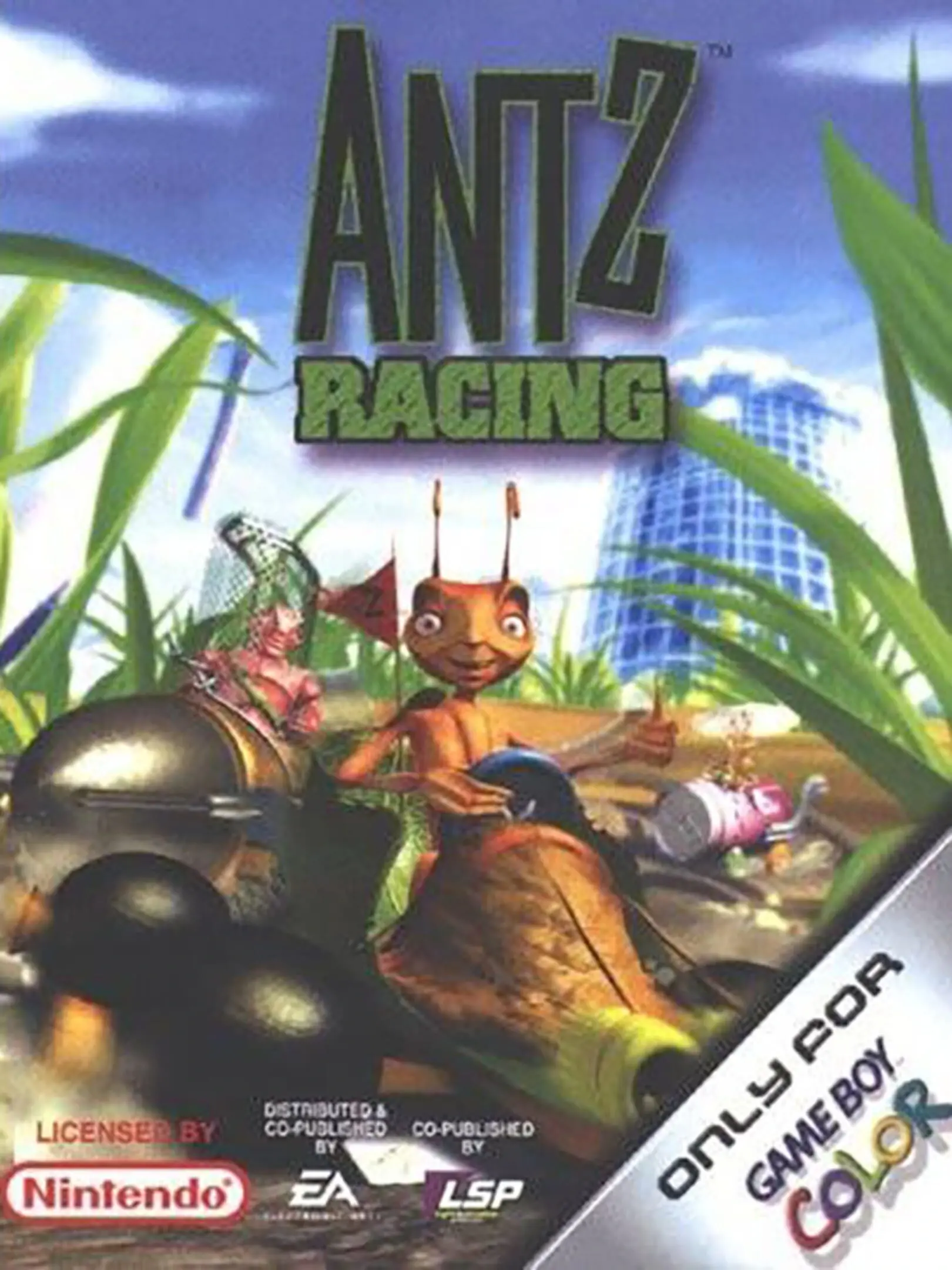 Picture of Antz Racing