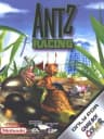 Picture of Antz Racing