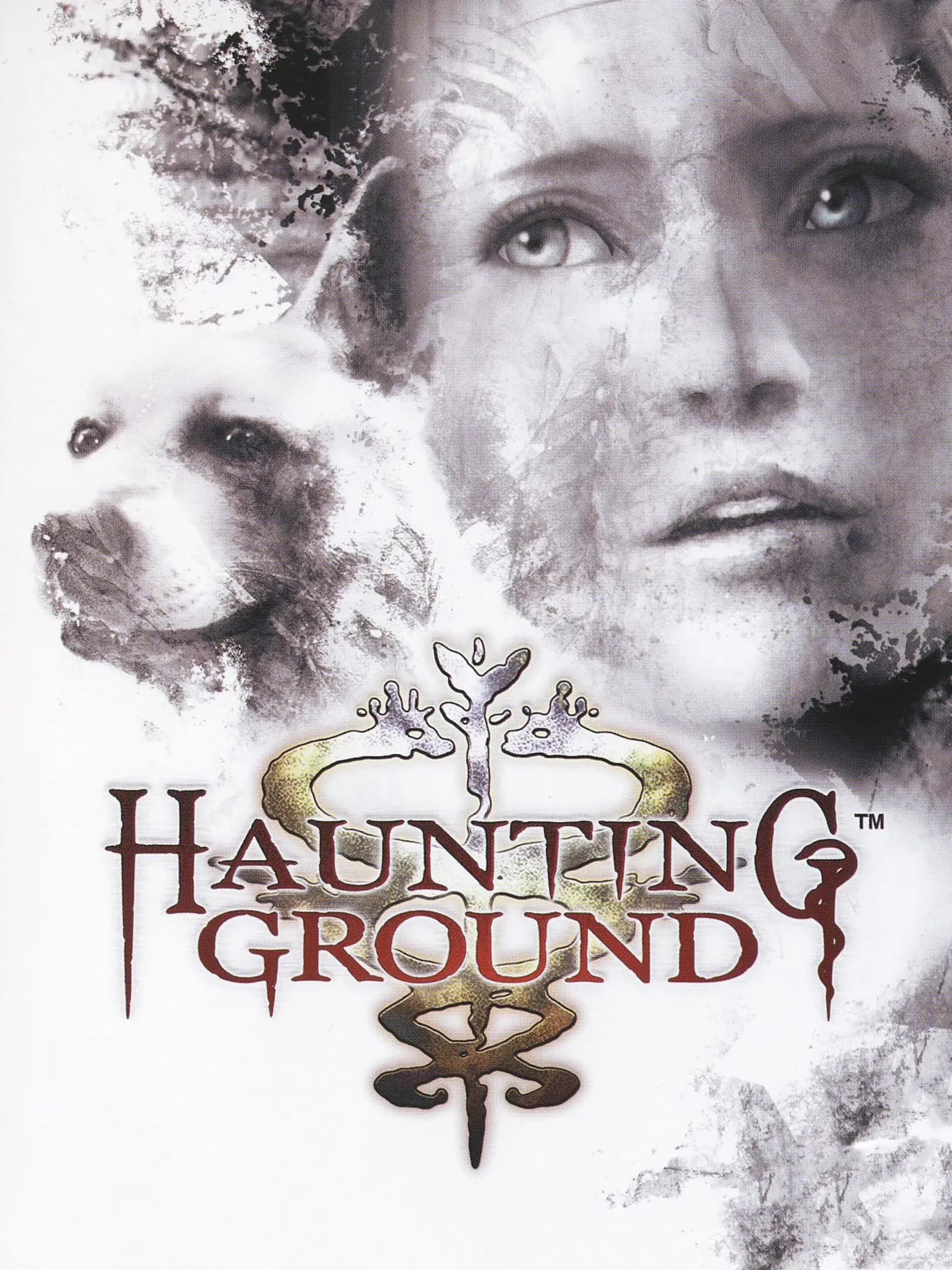 Picture of Haunting Ground
