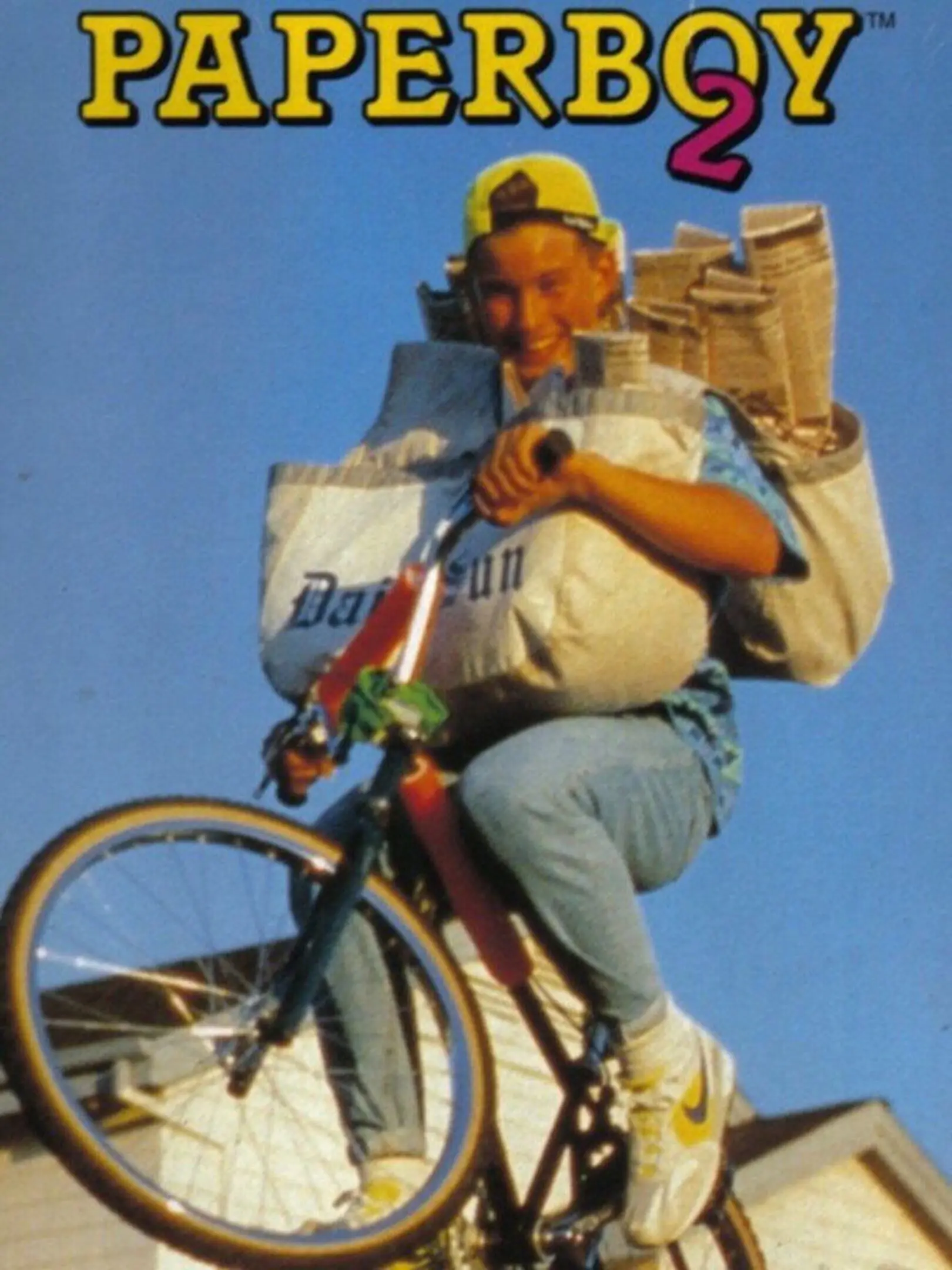 Picture of Paperboy 2