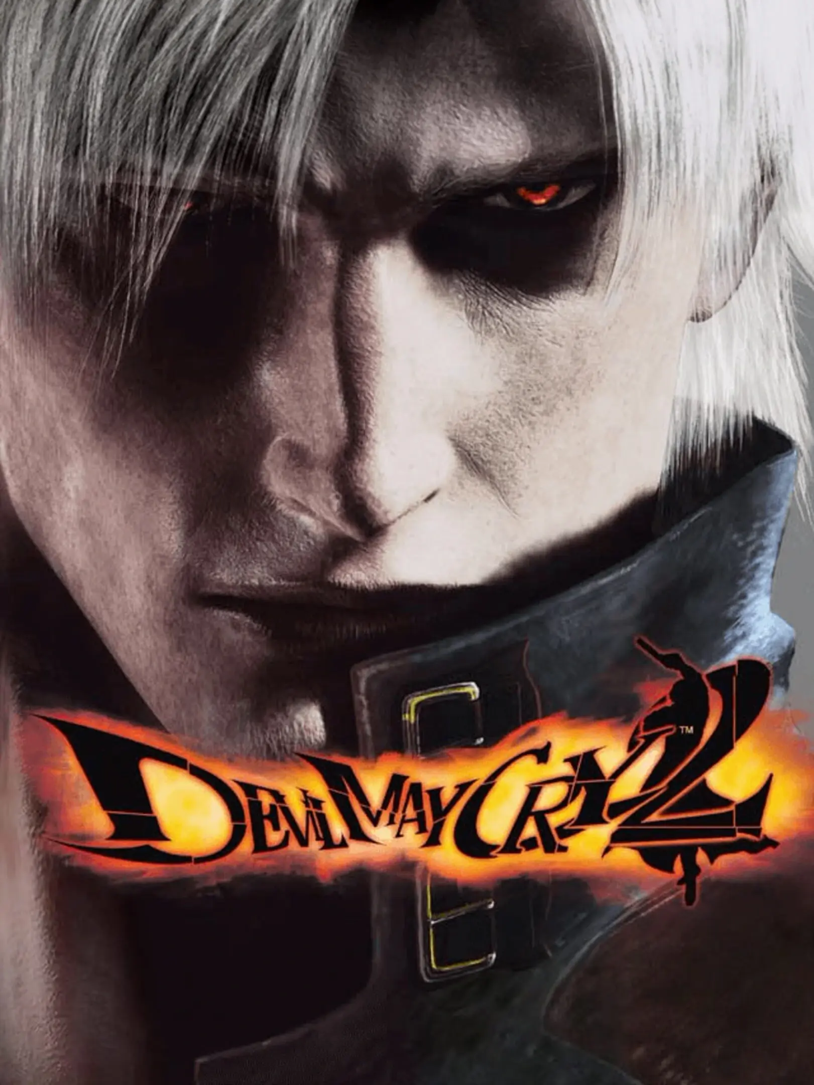 Picture of Devil May Cry 2