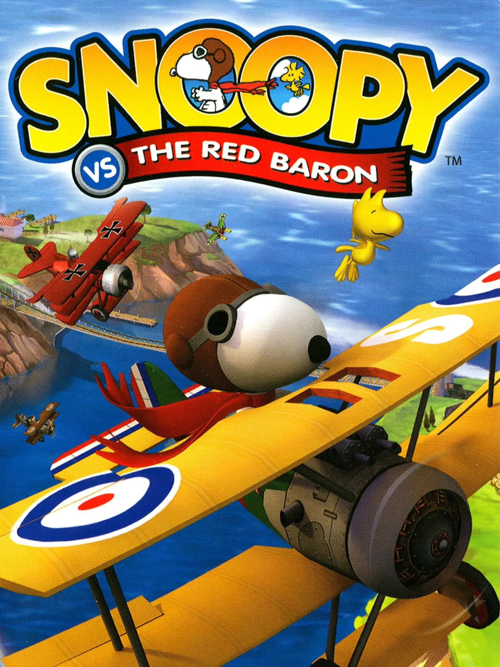 Picture of Snoopy vs. the Red Baron