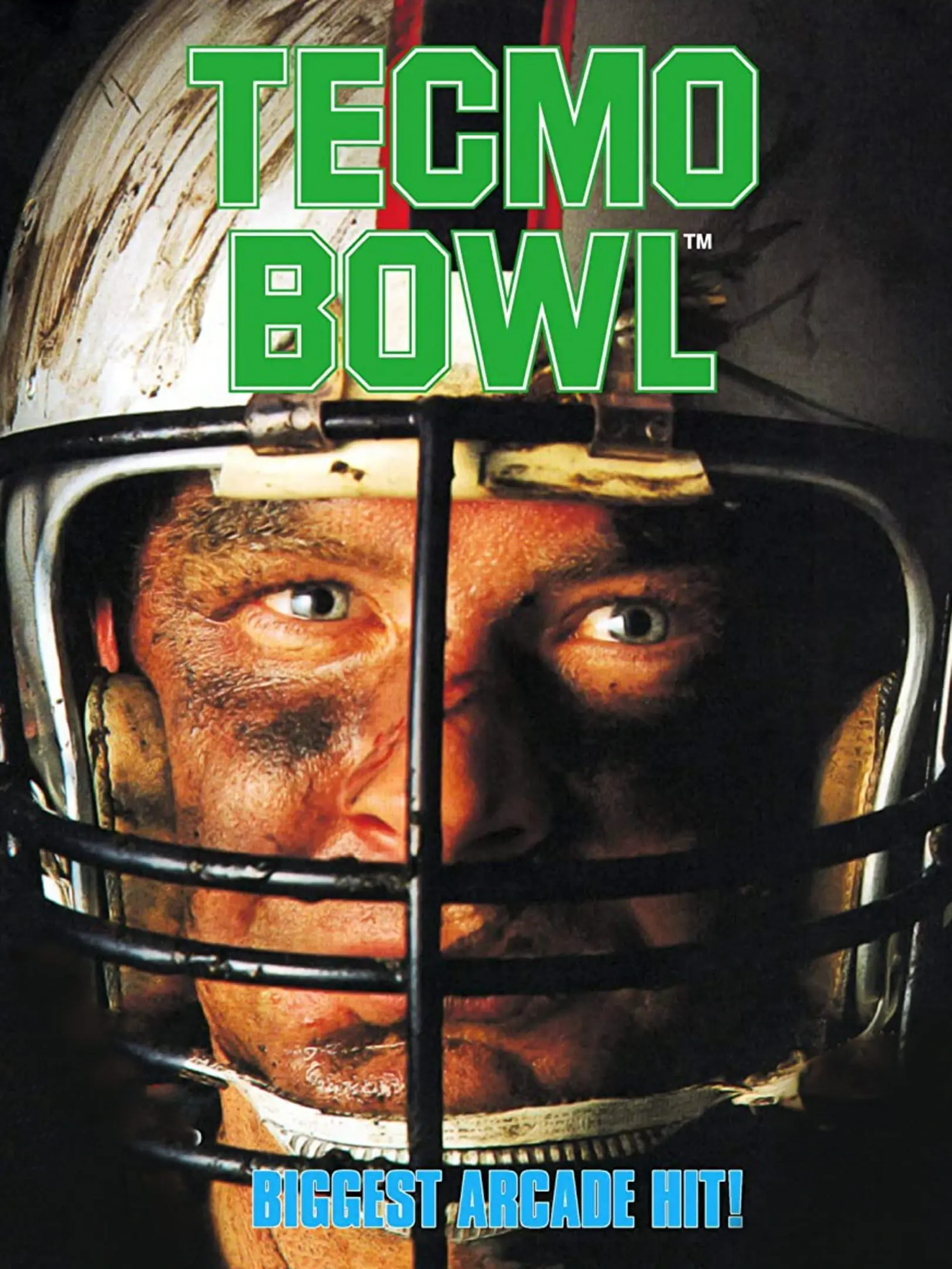 Picture of Tecmo Bowl