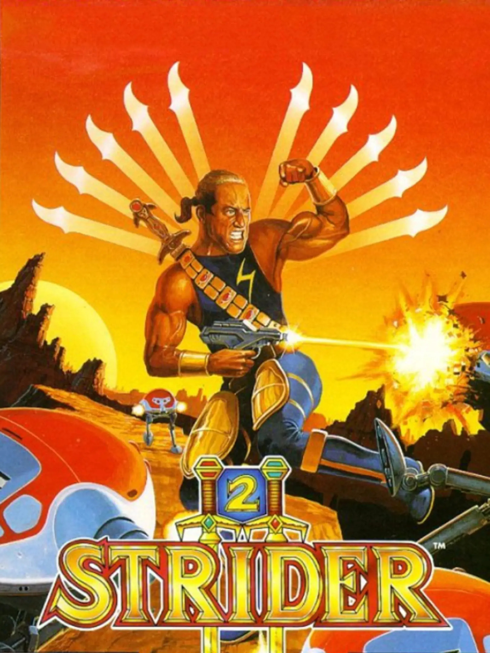 Picture of Strider II