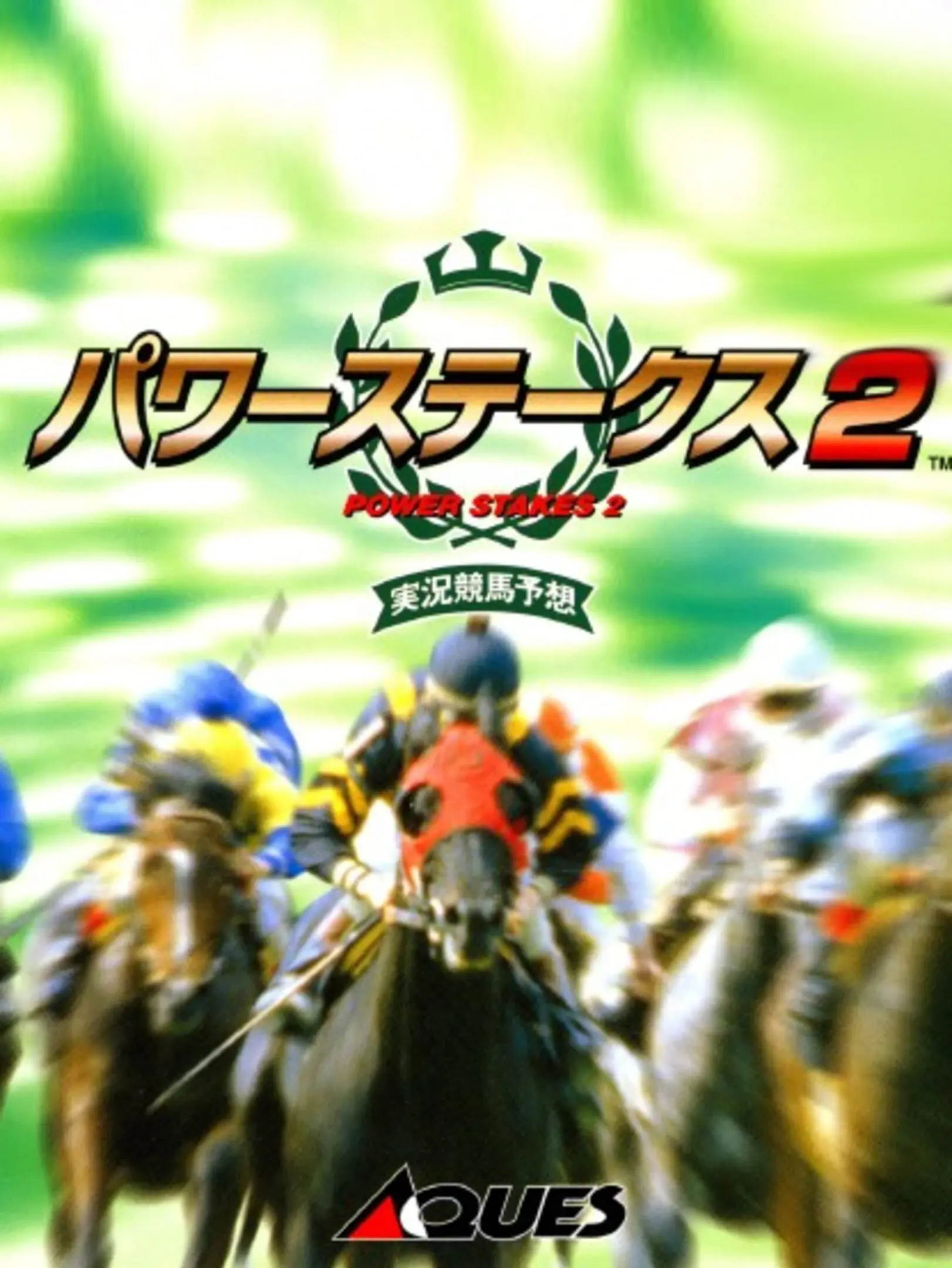 Picture of Power Stakes 2