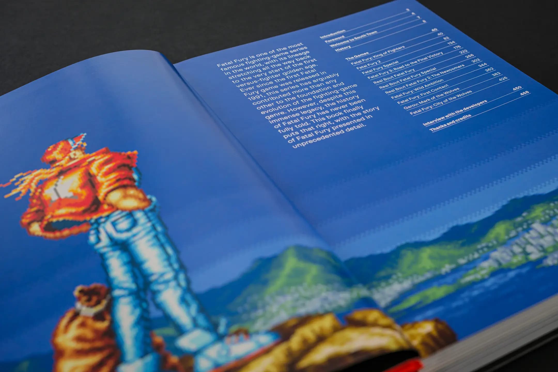 Picture of Fatal Fury/Garou Densetsu: The Ultimate History 3