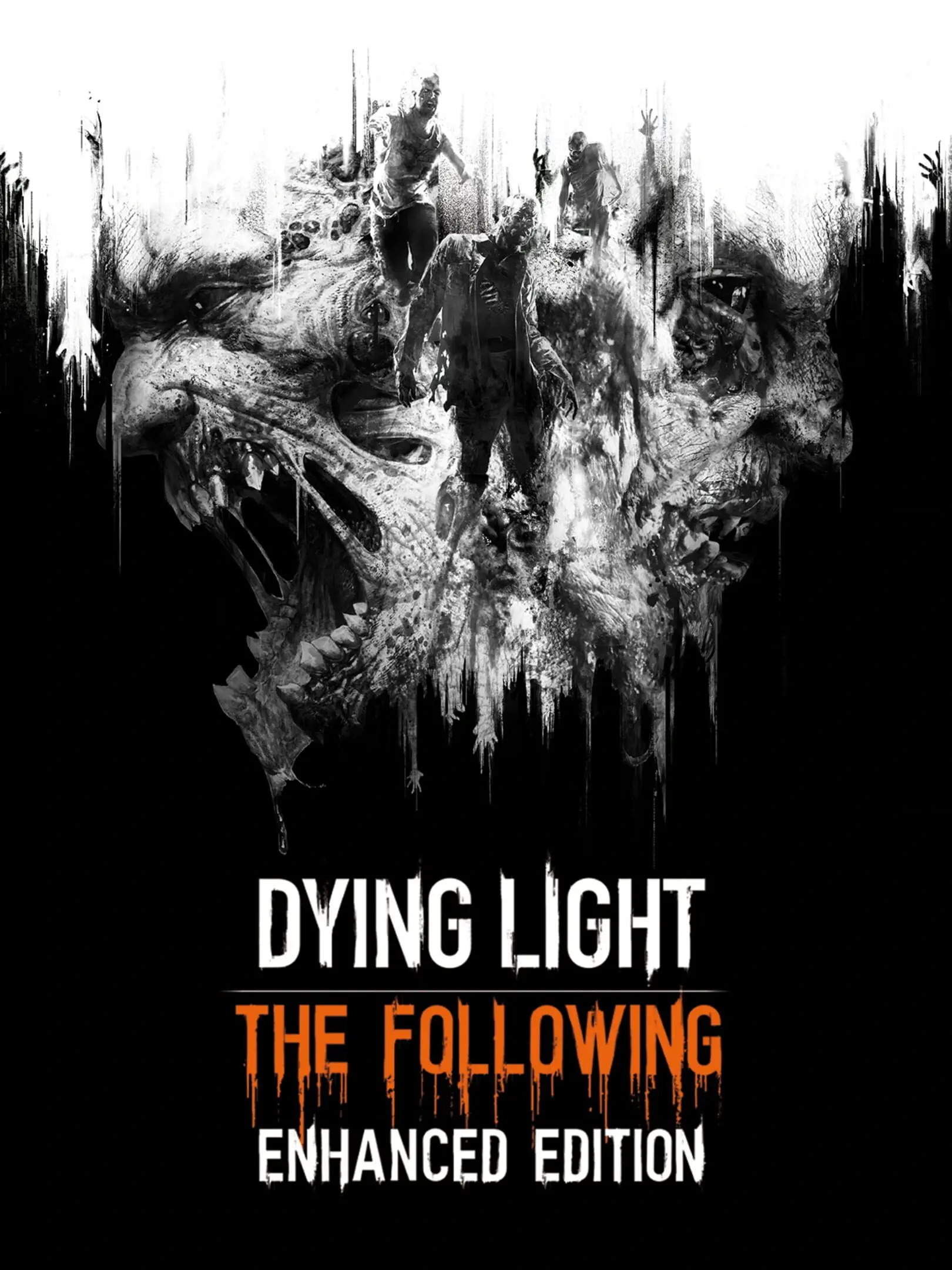 Dying Light: The Following