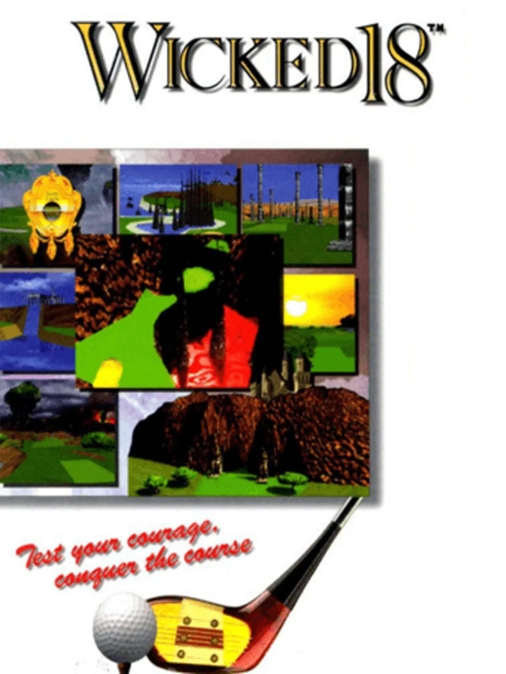 Picture of Wicked 18