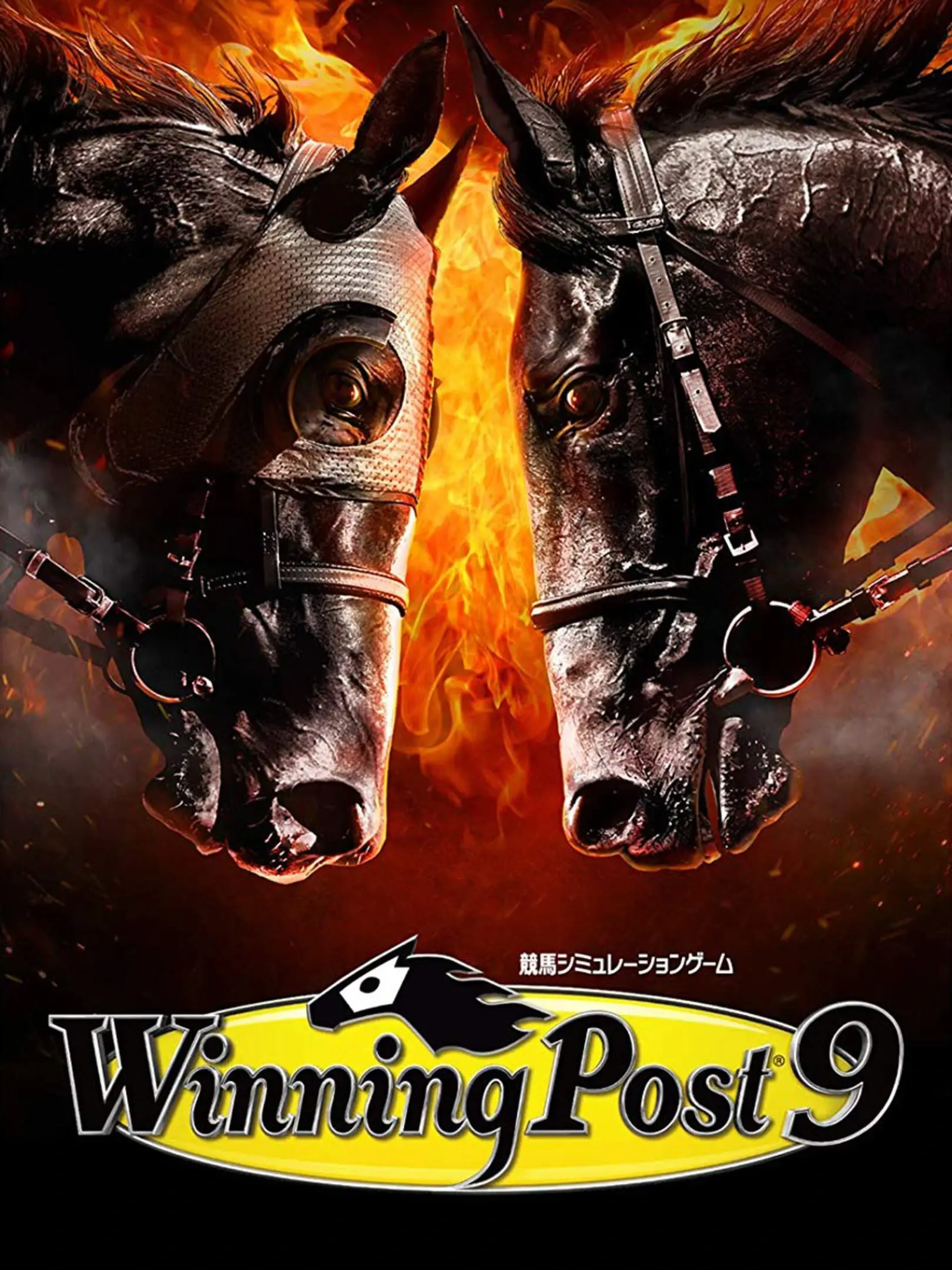 Picture of Winning Post 9