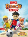 Picture of Big Beach Sports