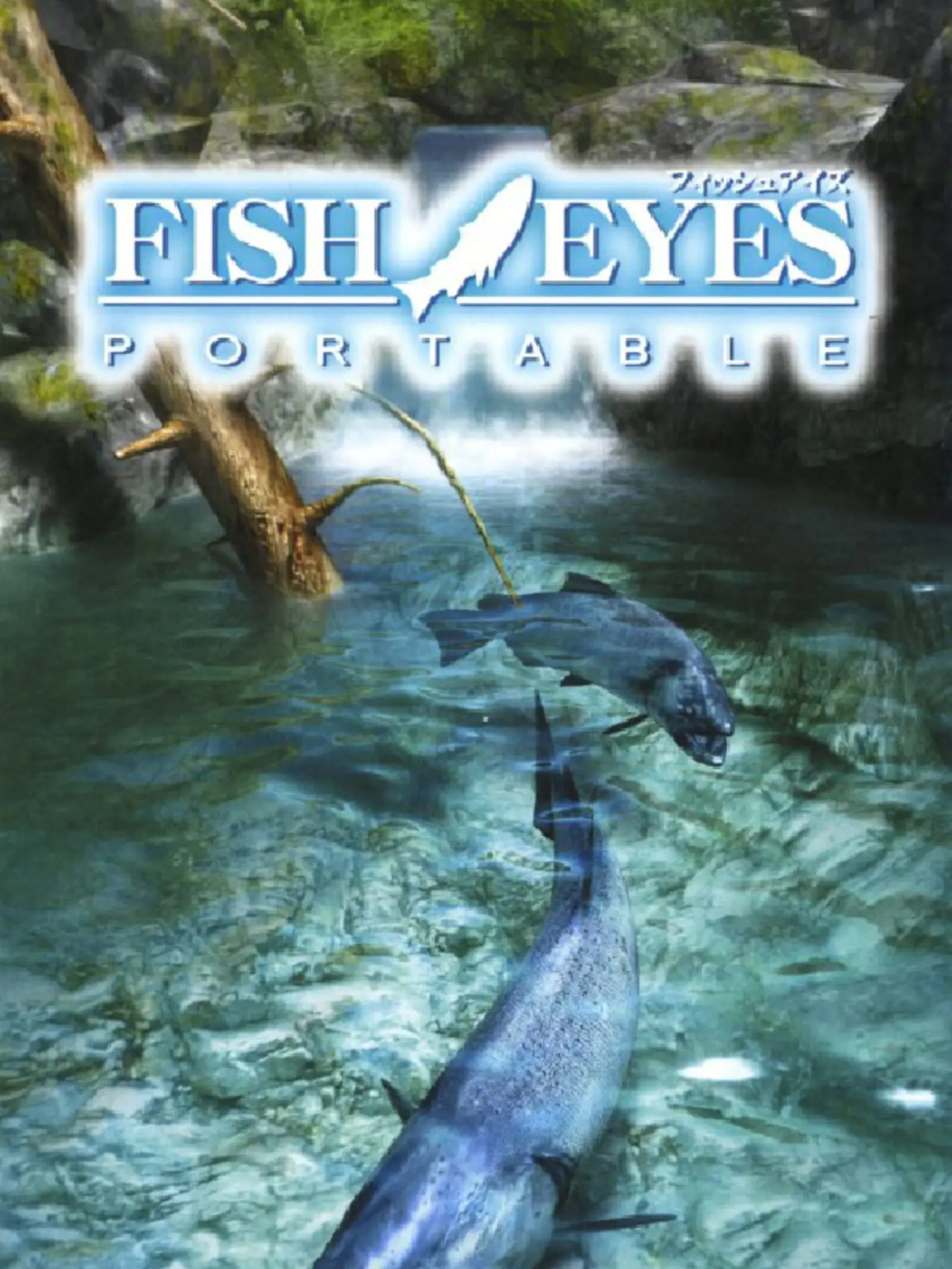 Picture of Fish Eyes Portable (2)