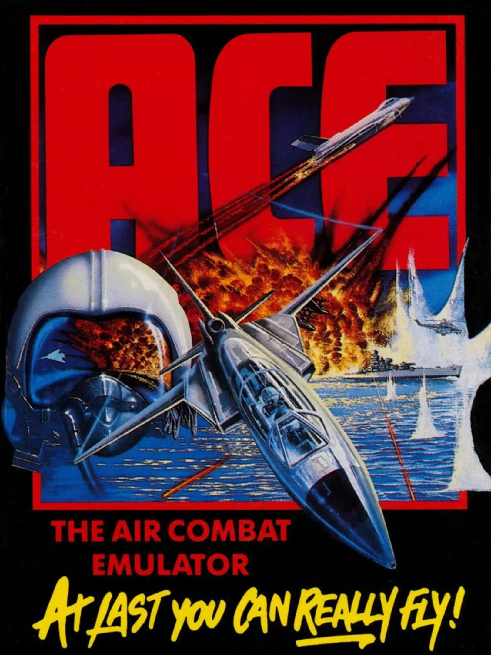 Picture of Ace (2)