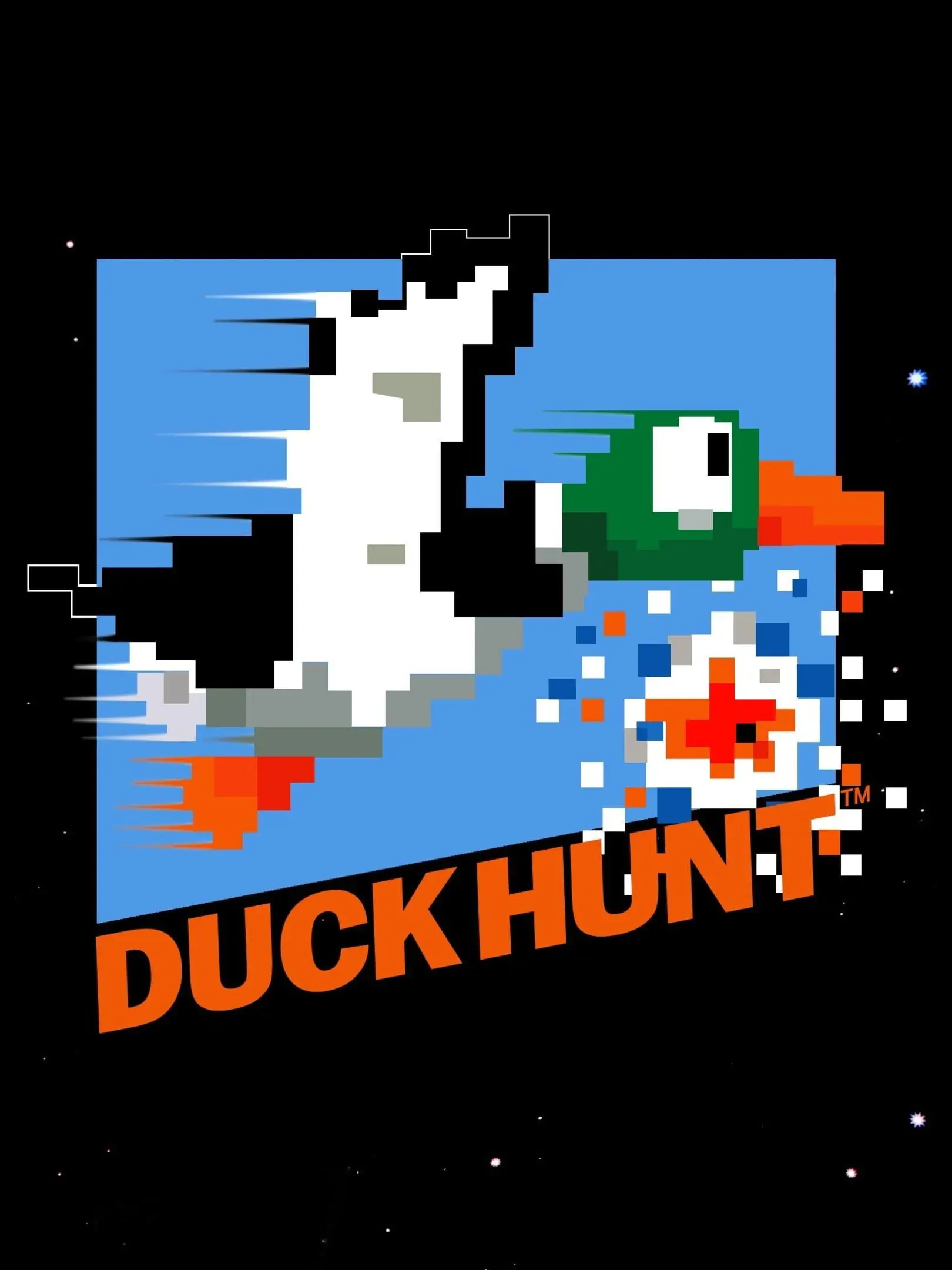 Picture of Duck Hunt