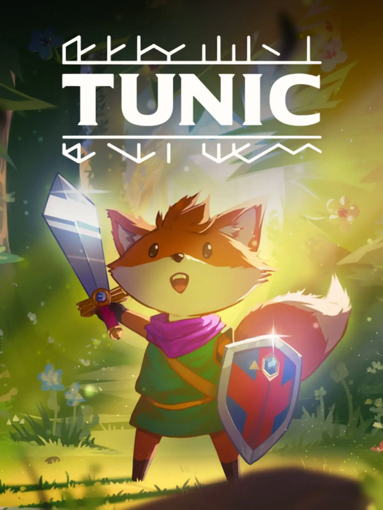 Picture of Tunic