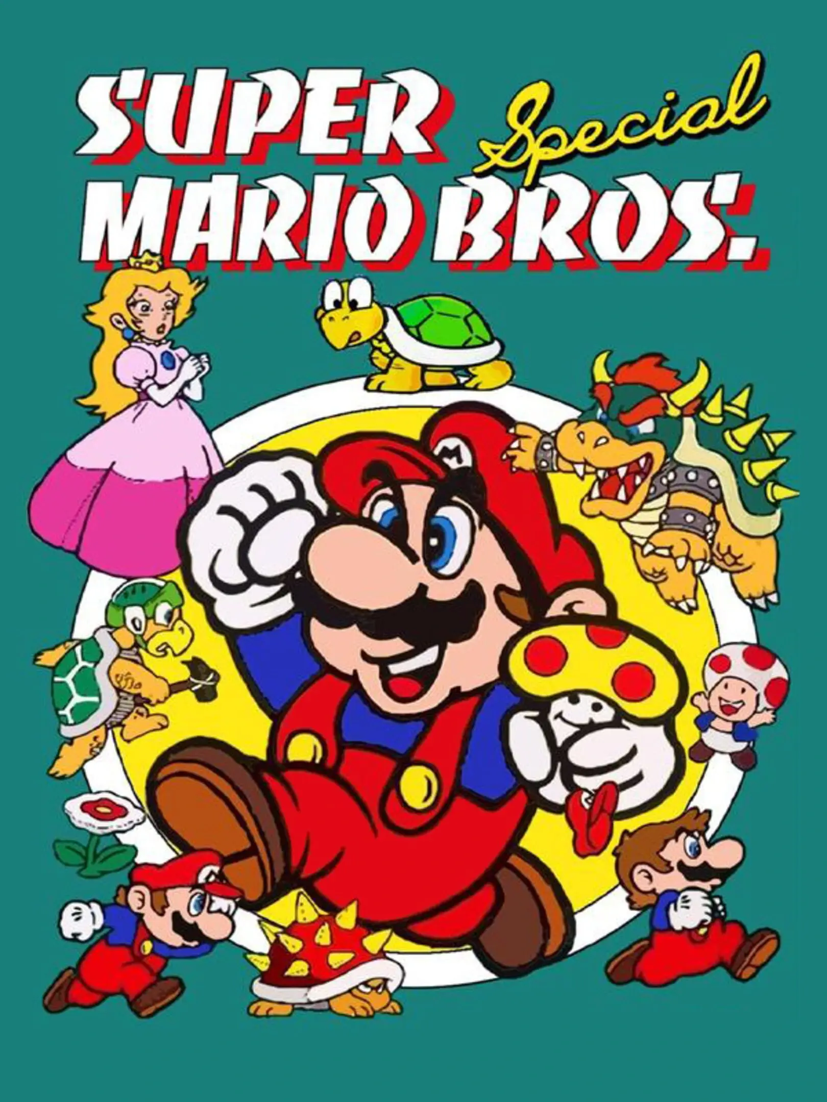 Picture of Super Mario Bros. Special