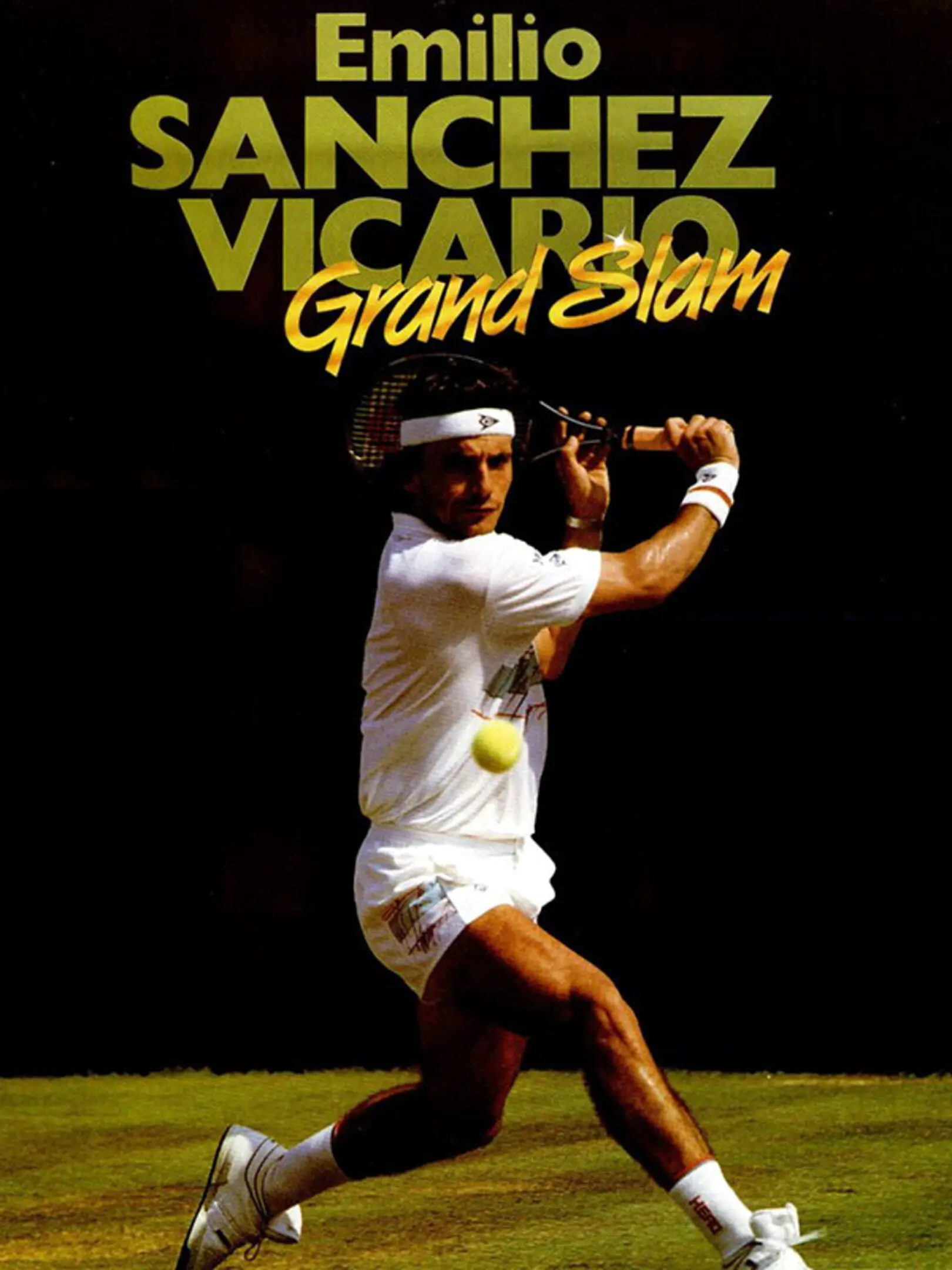 Picture of Emilio Sanchez Vicario Grand Slam