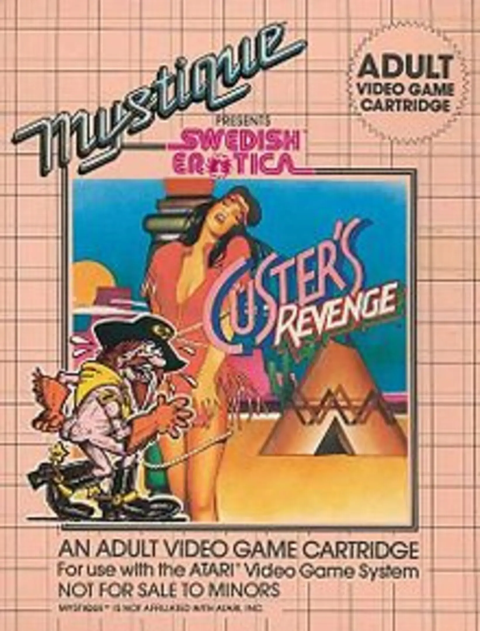 Picture of Custer's Revenge