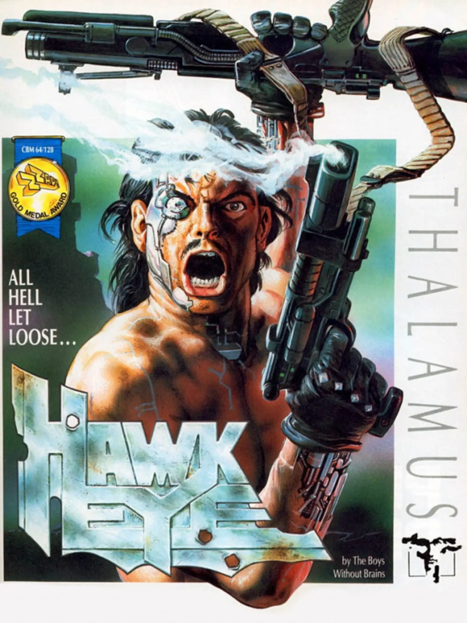 Picture of Hawkeye