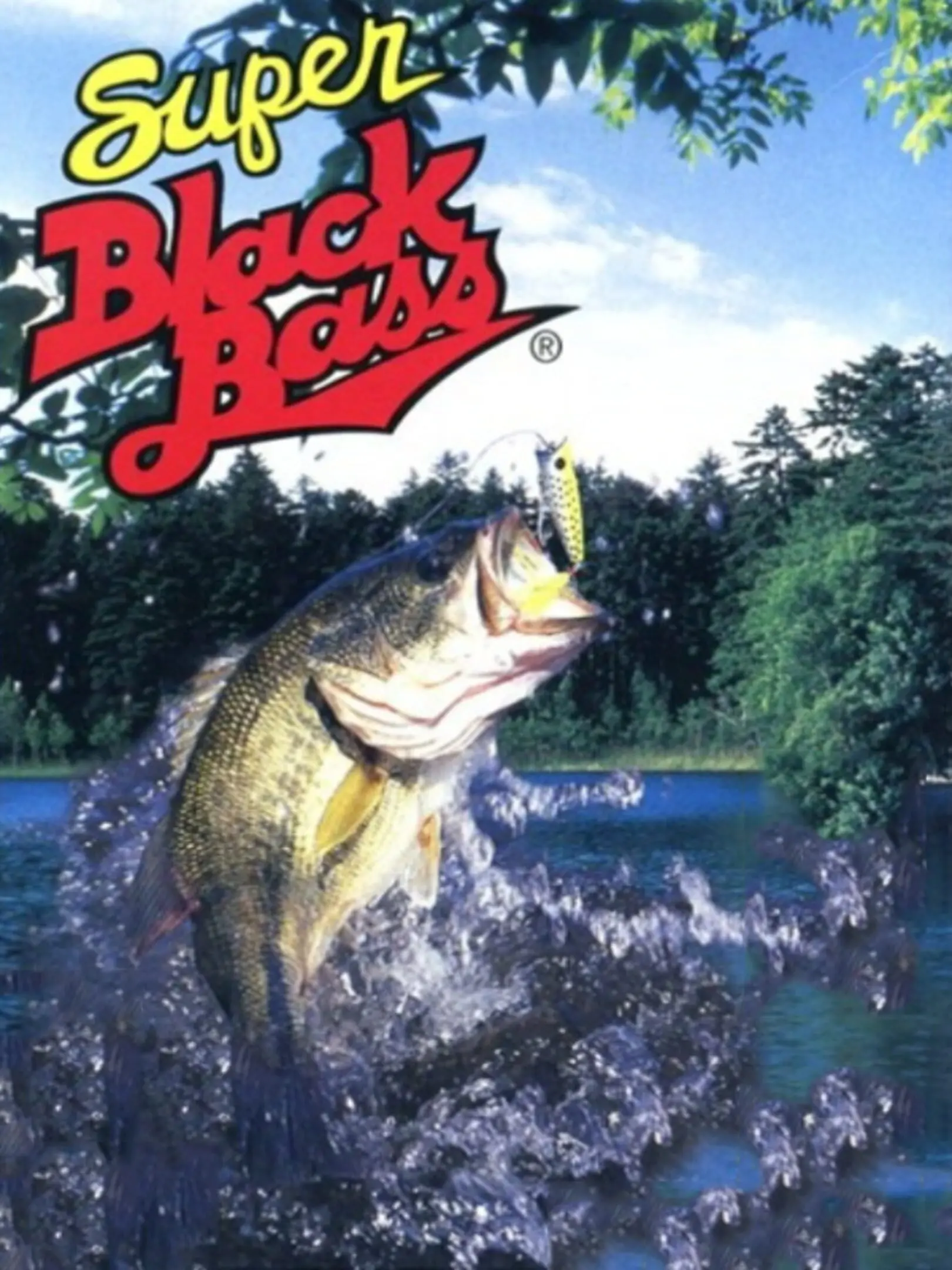 Picture of Super Black Bass Pocket