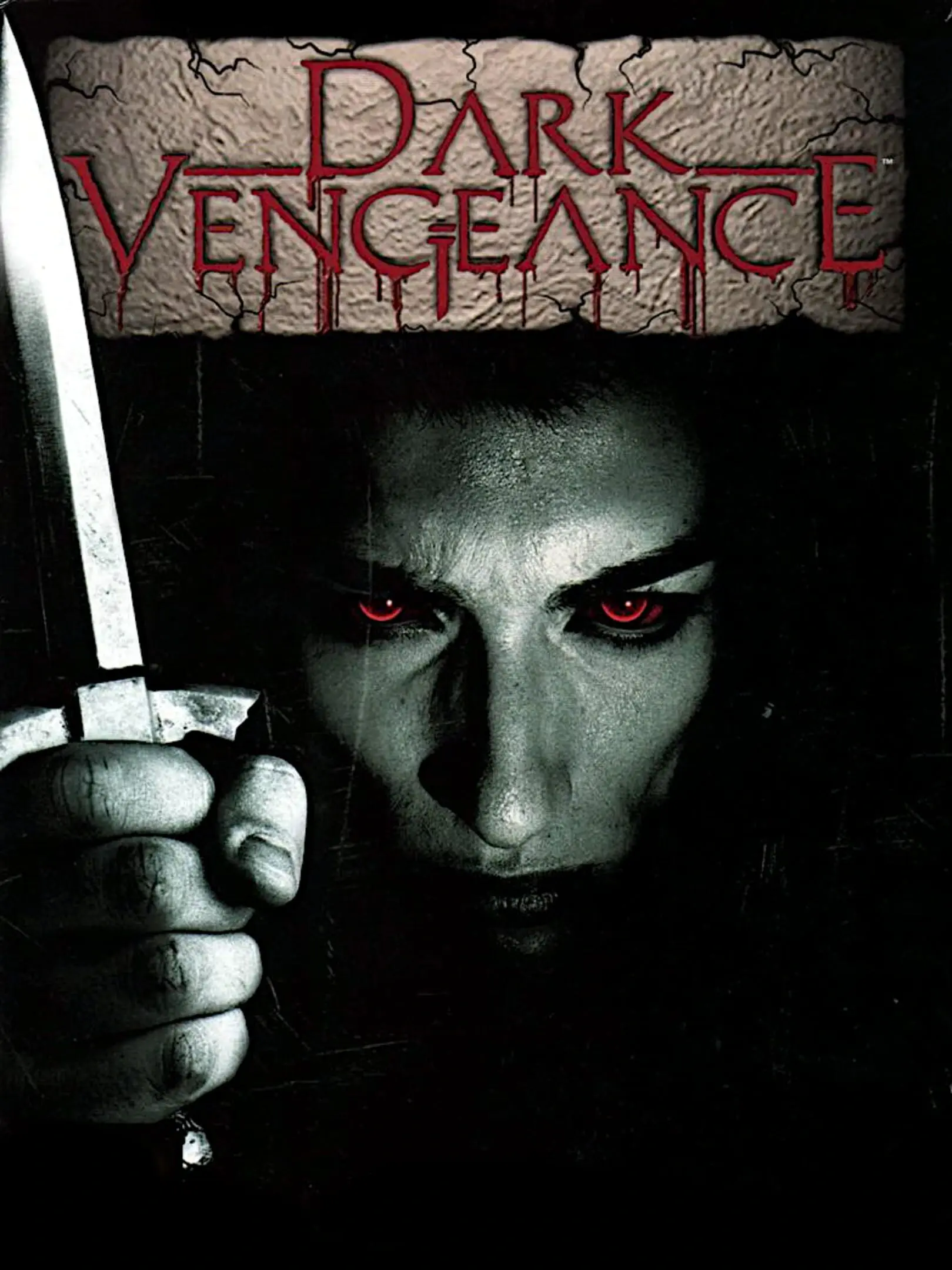 Picture of Dark Vengeance