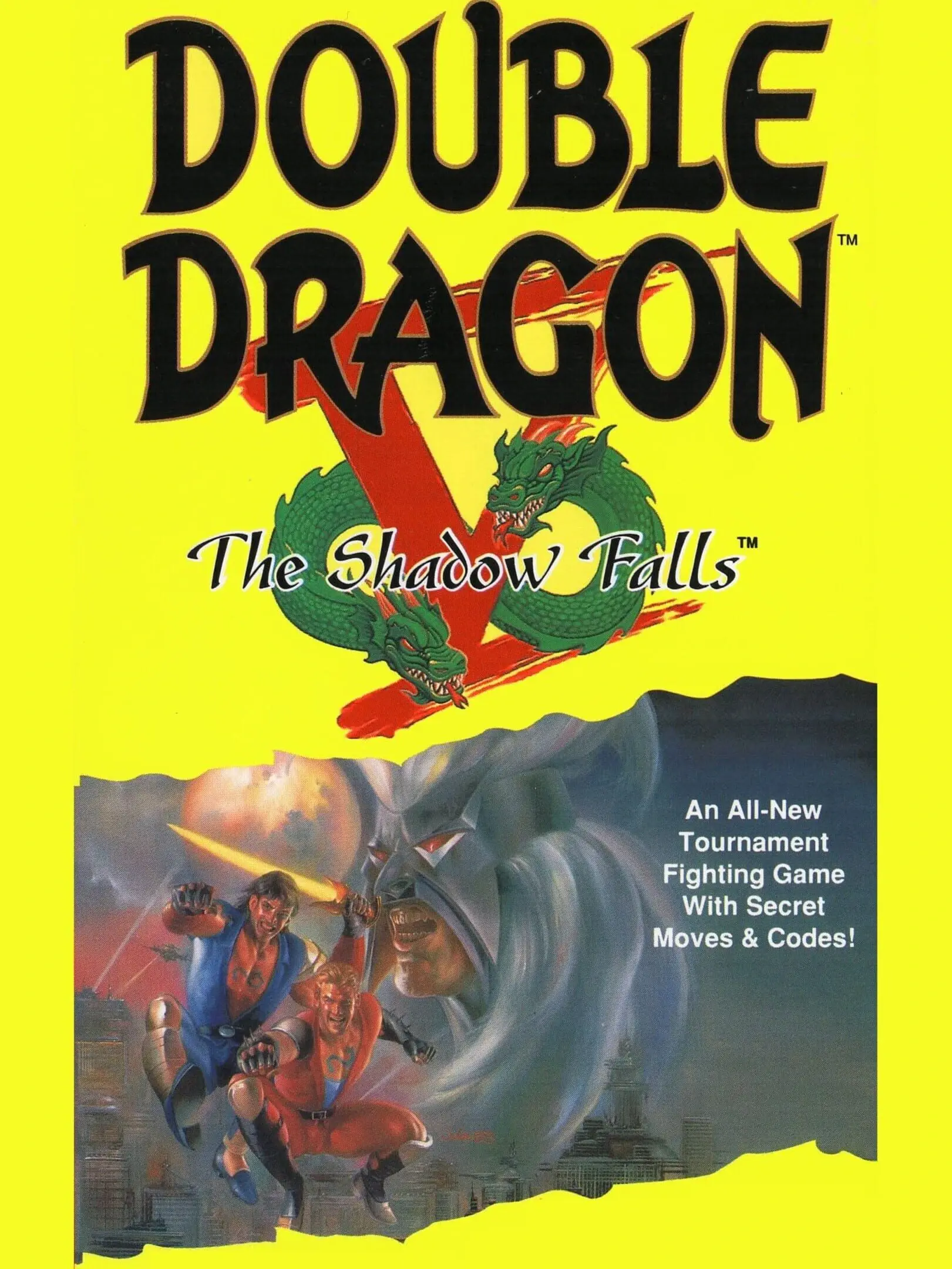 Picture of Double Dragon V: The Shadow Falls