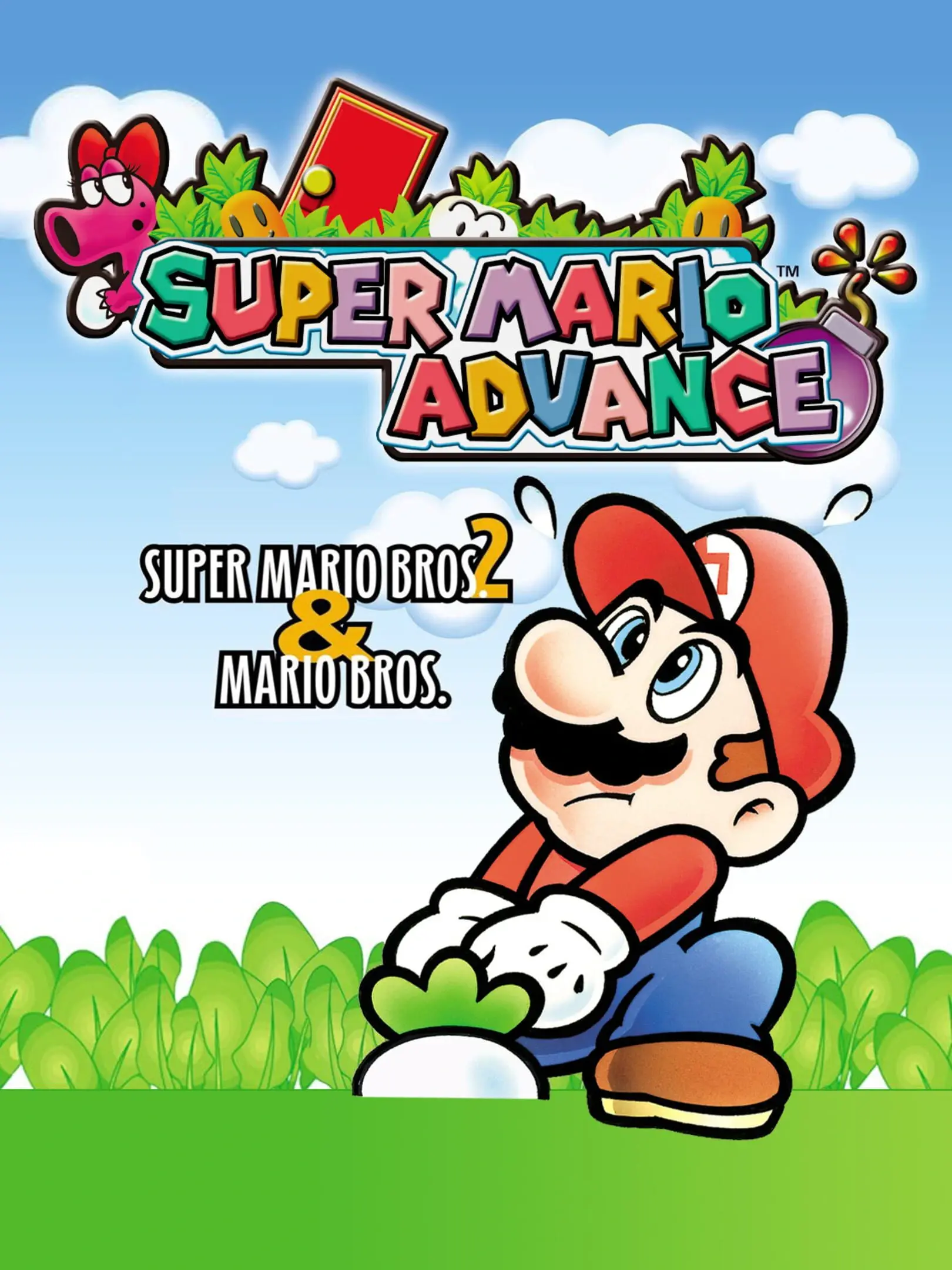 Picture of Super Mario Advance