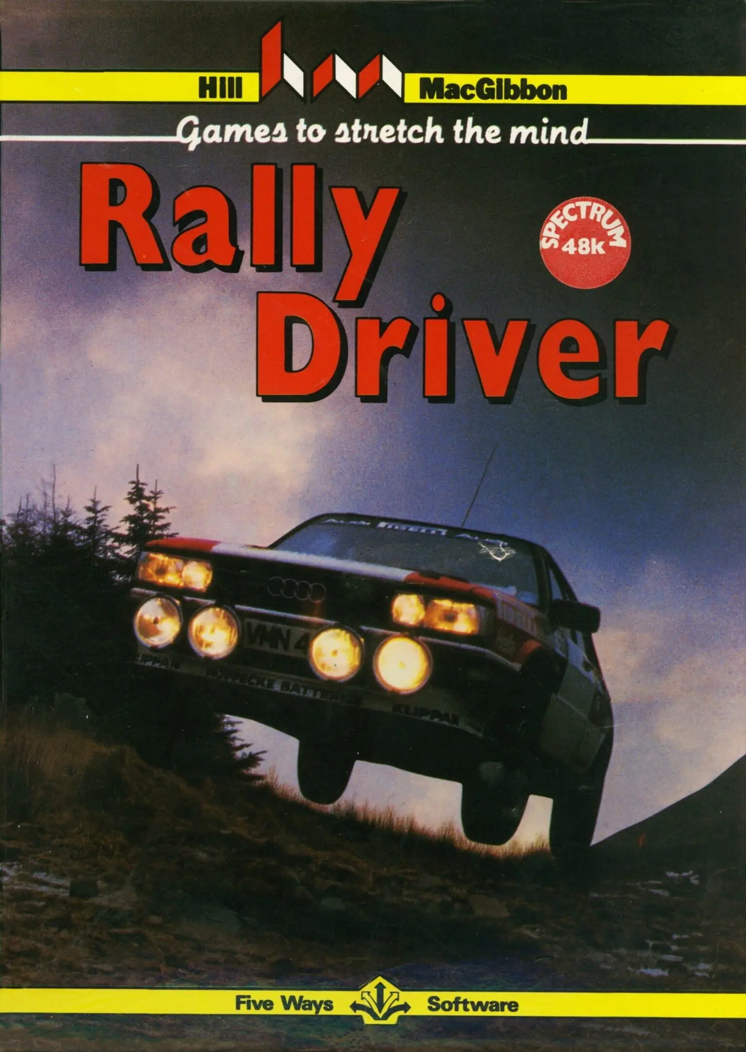Picture of Rally Driver