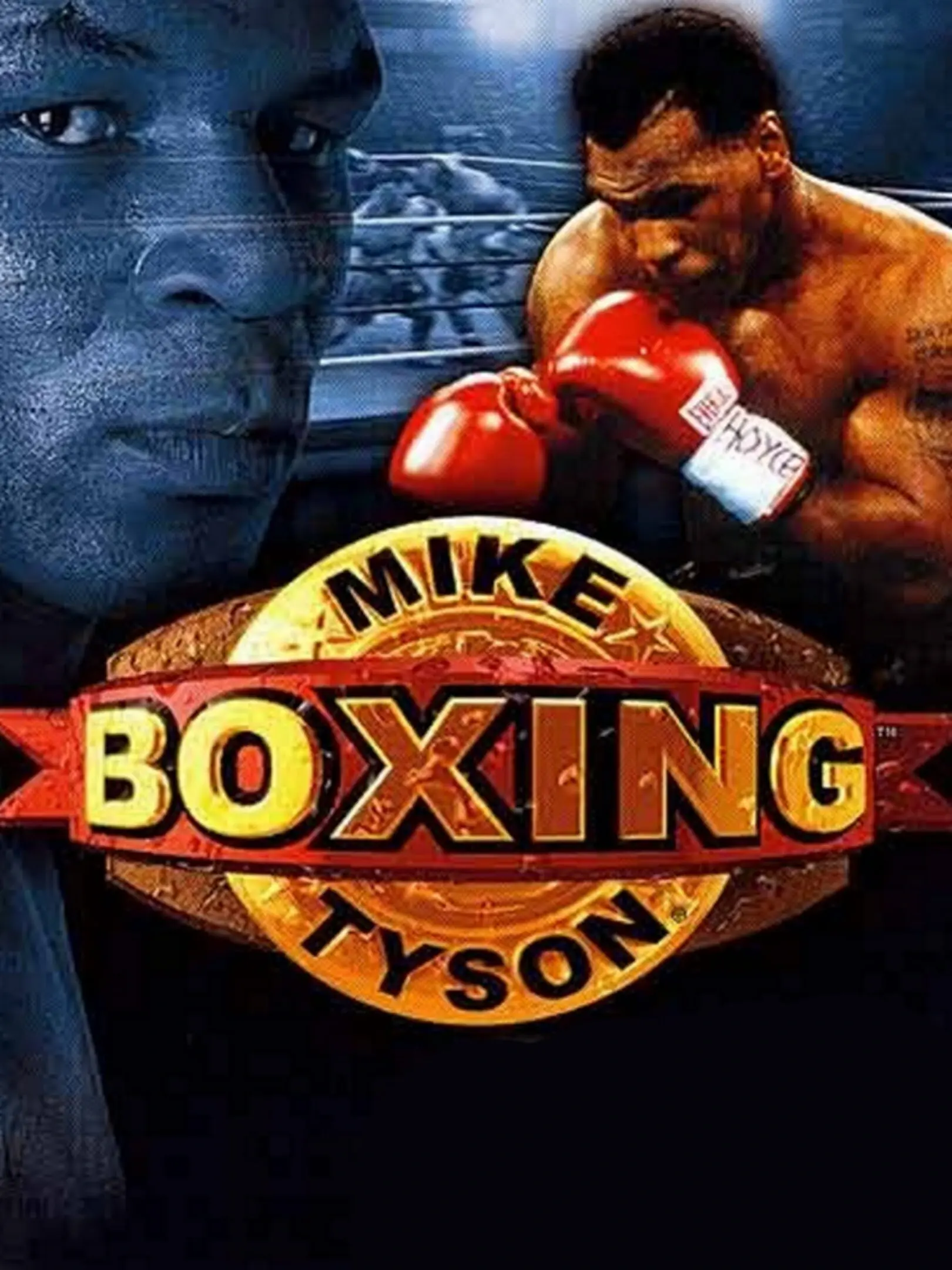 Picture of Mike Tyson Boxing