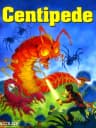 Picture of Centipede