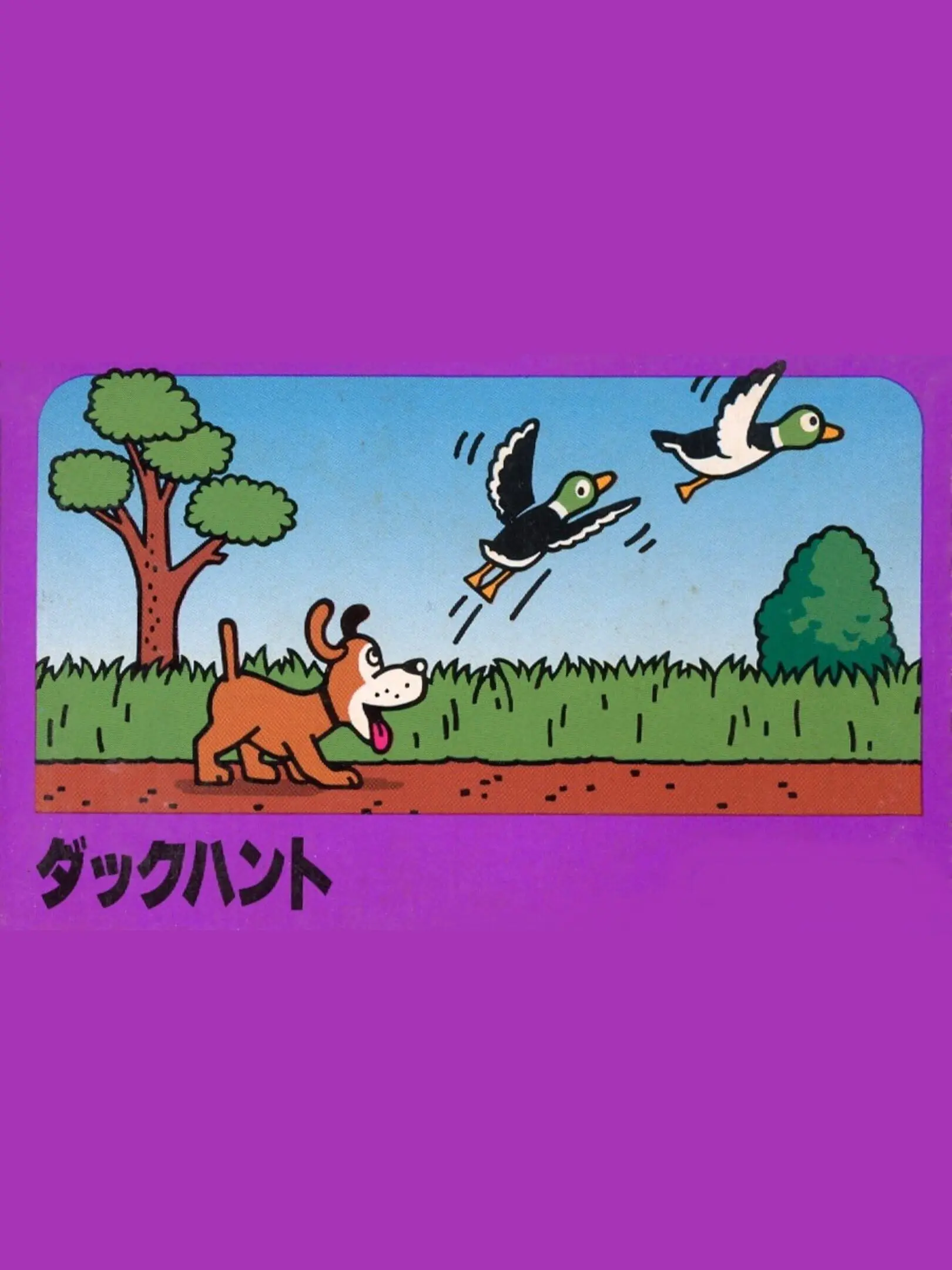 Picture of Duck Hunt (2)
