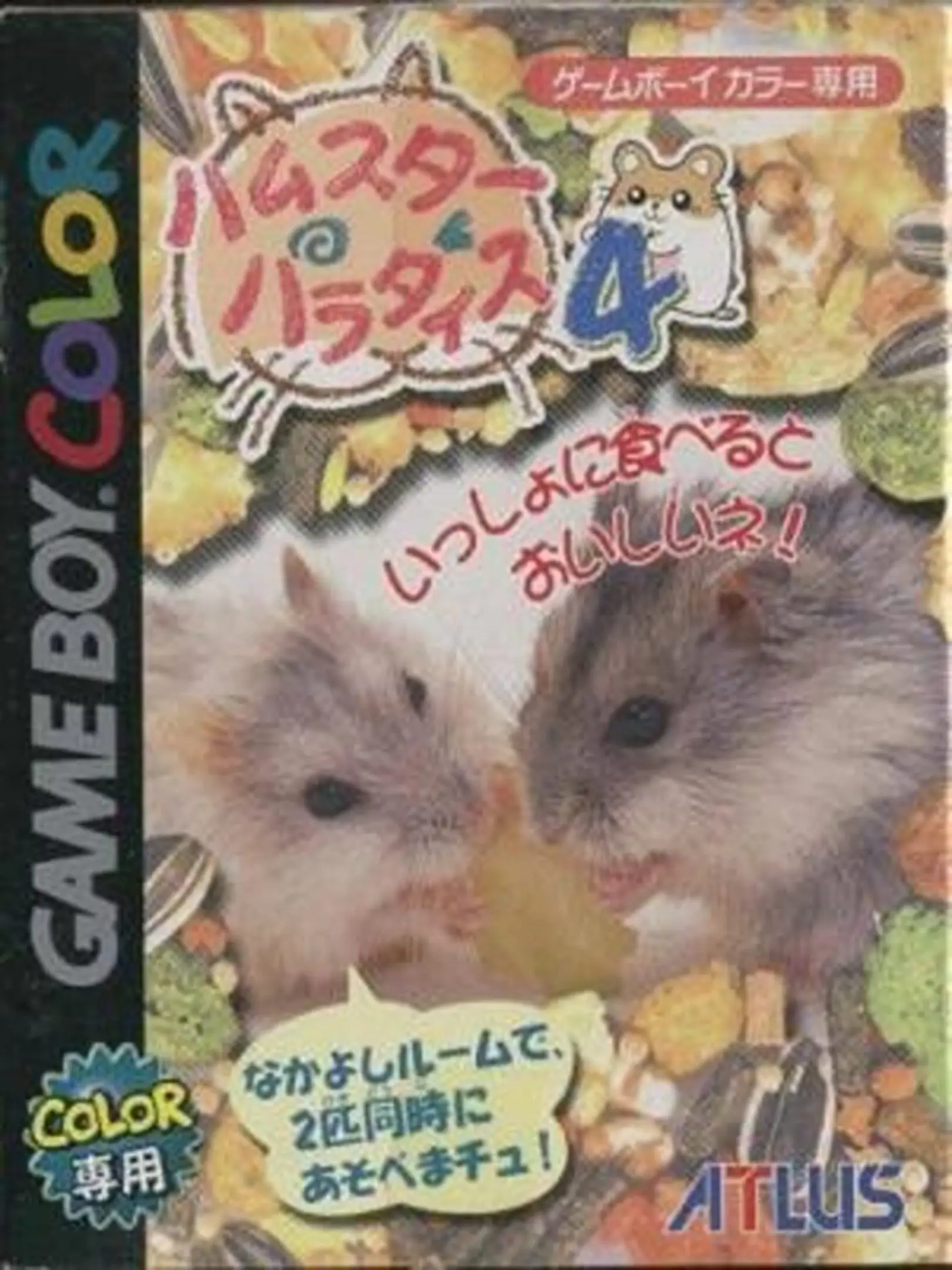 Picture of Hamster Paradise 4