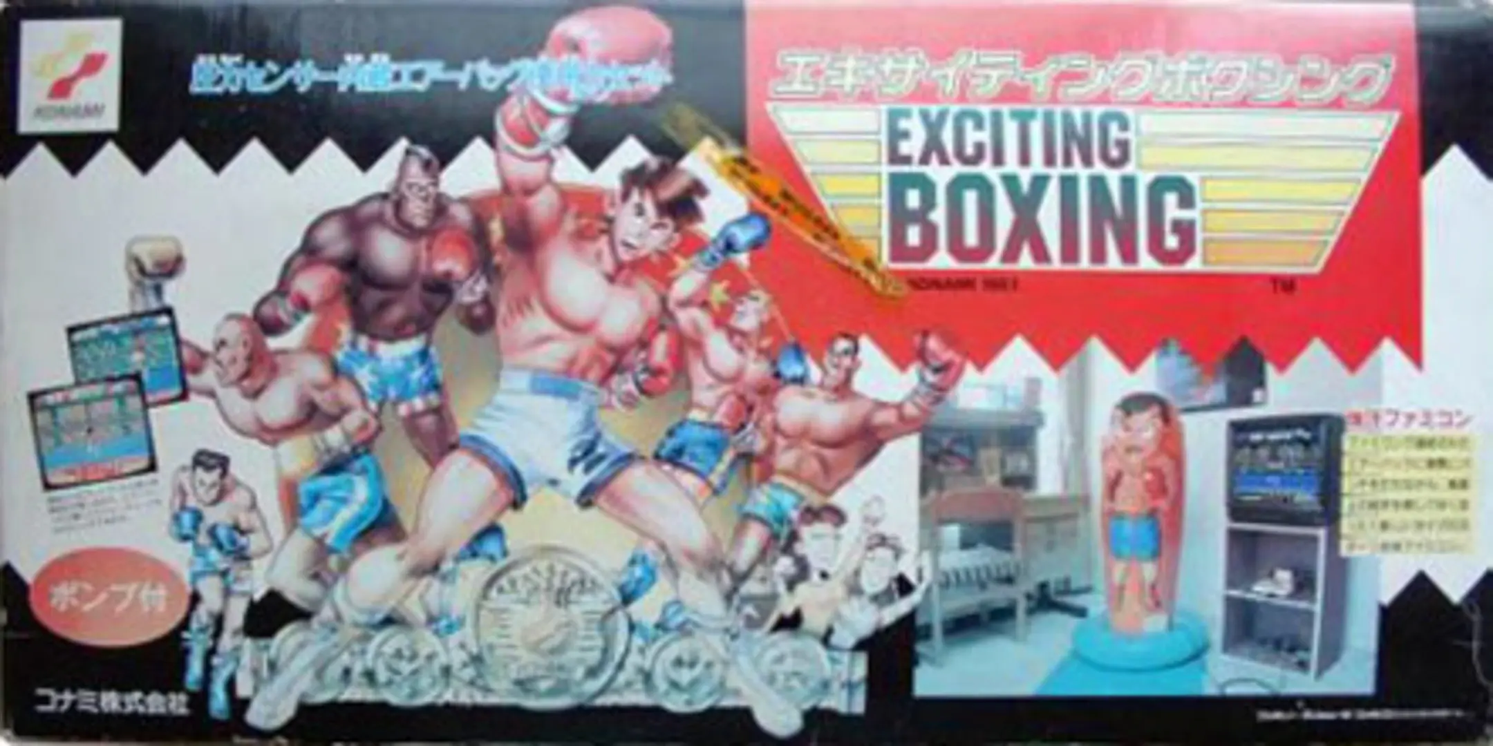 Picture of Exciting Boxing