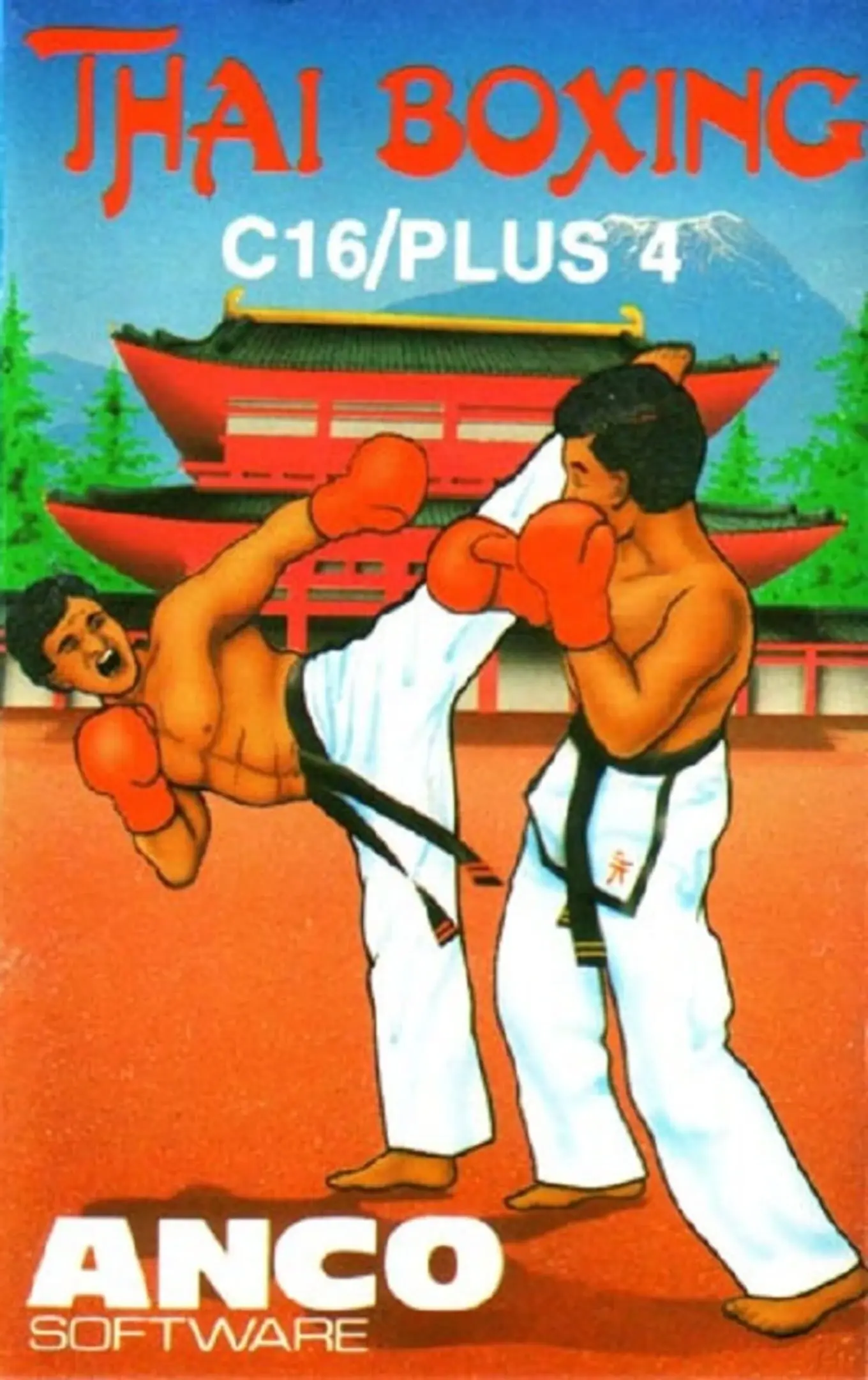 Picture of Thai Boxing