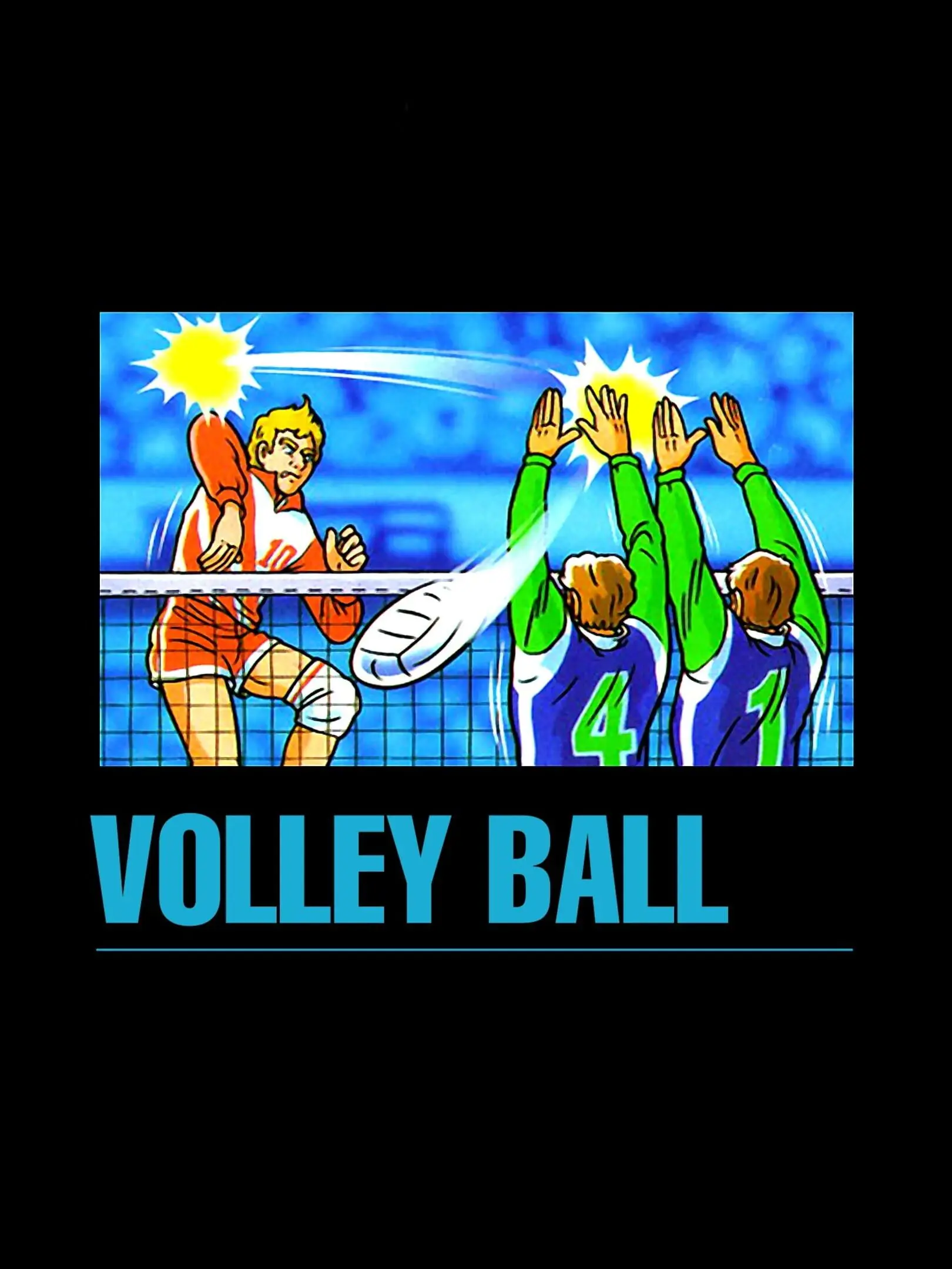 Picture of Volleyball (3)