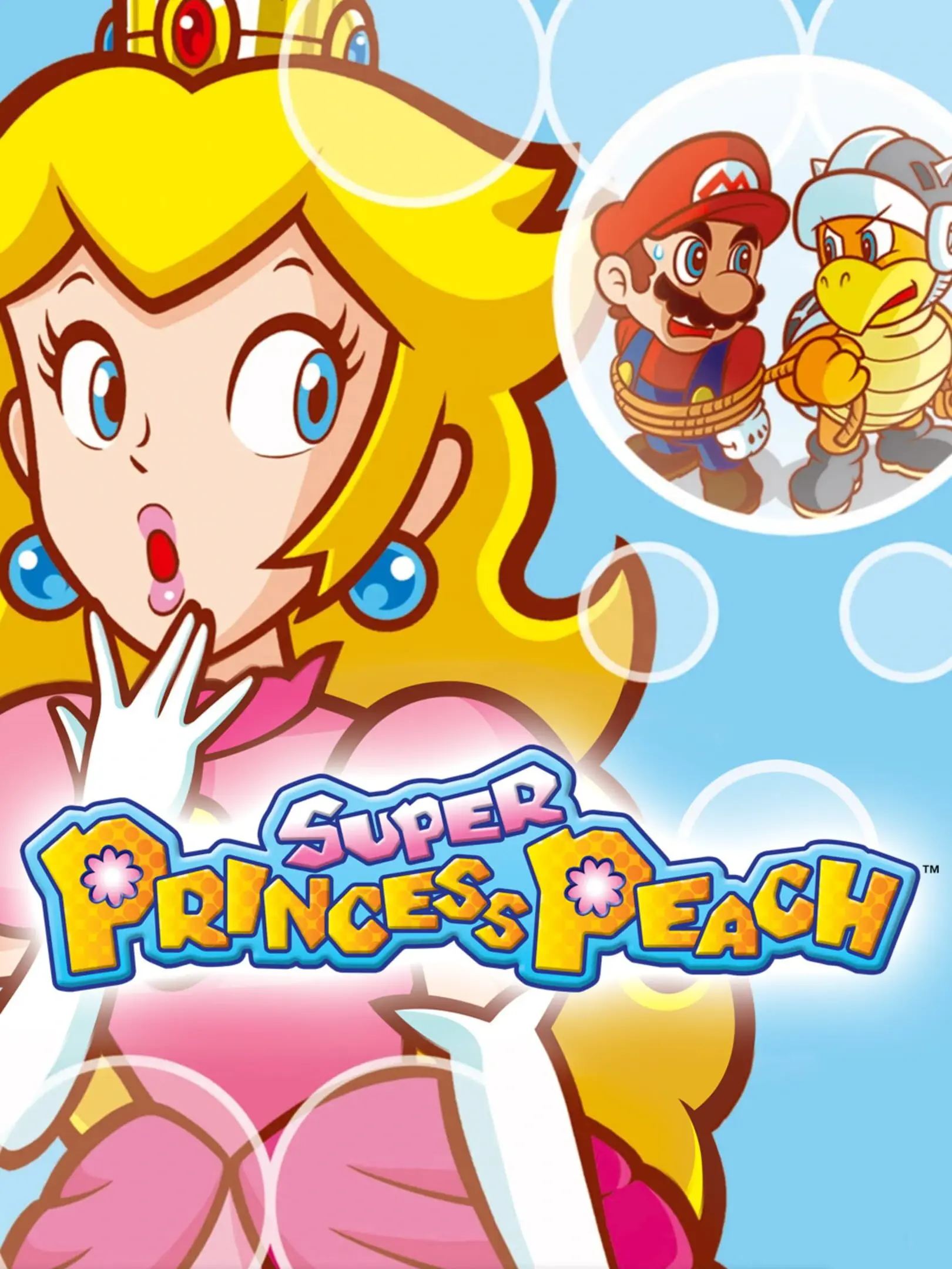 Picture of Super Princess Peach