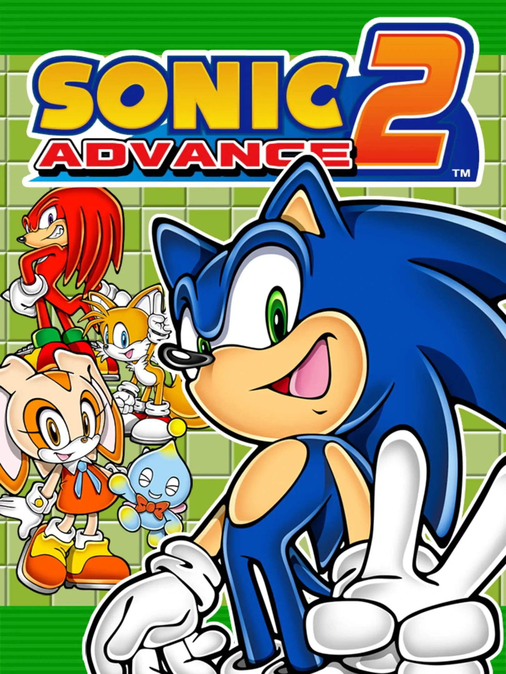 Picture of Sonic Advance 2