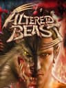 Picture of Altered Beast