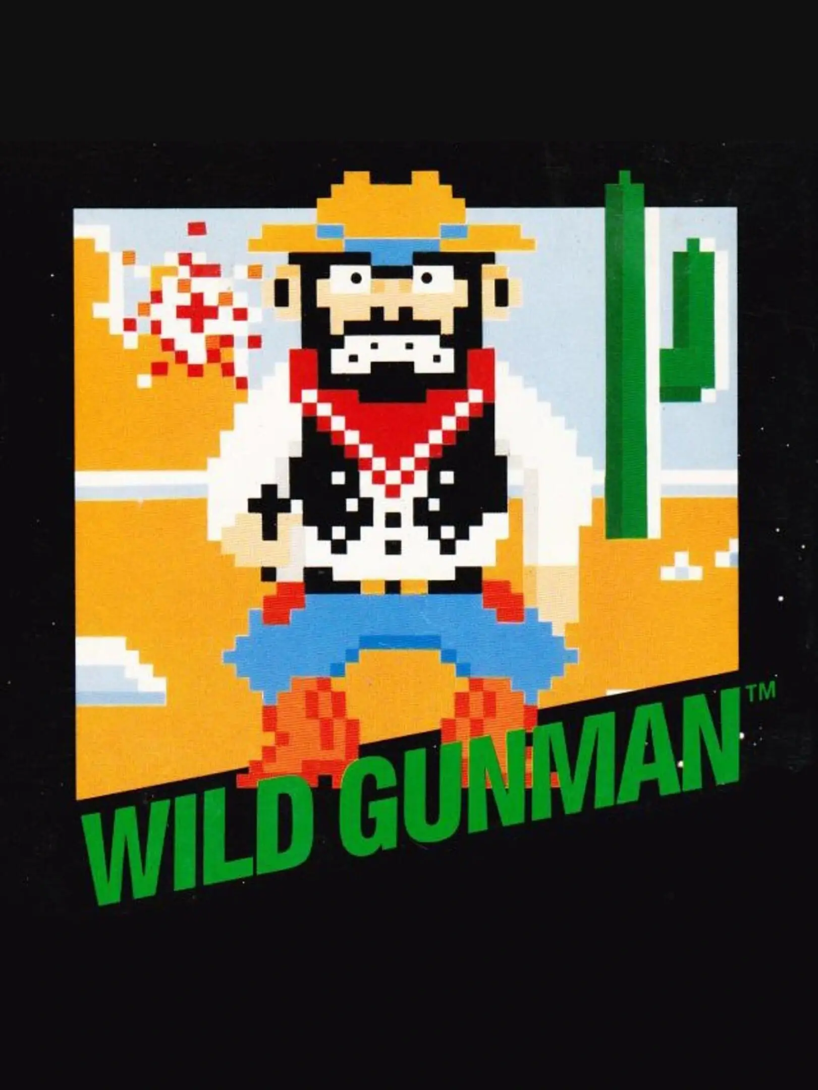 Picture of Wild Gunman