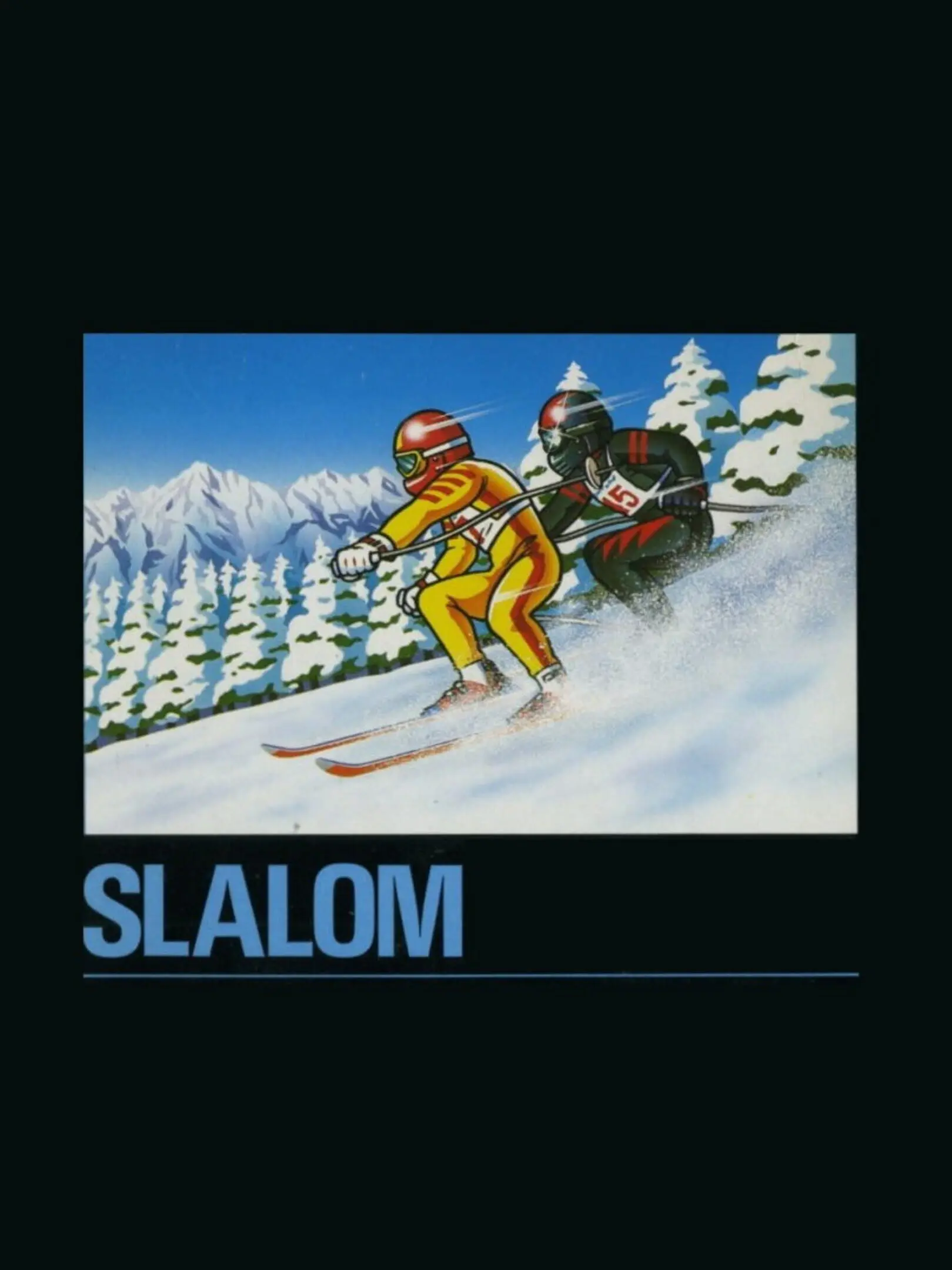 Picture of Slalom (2)