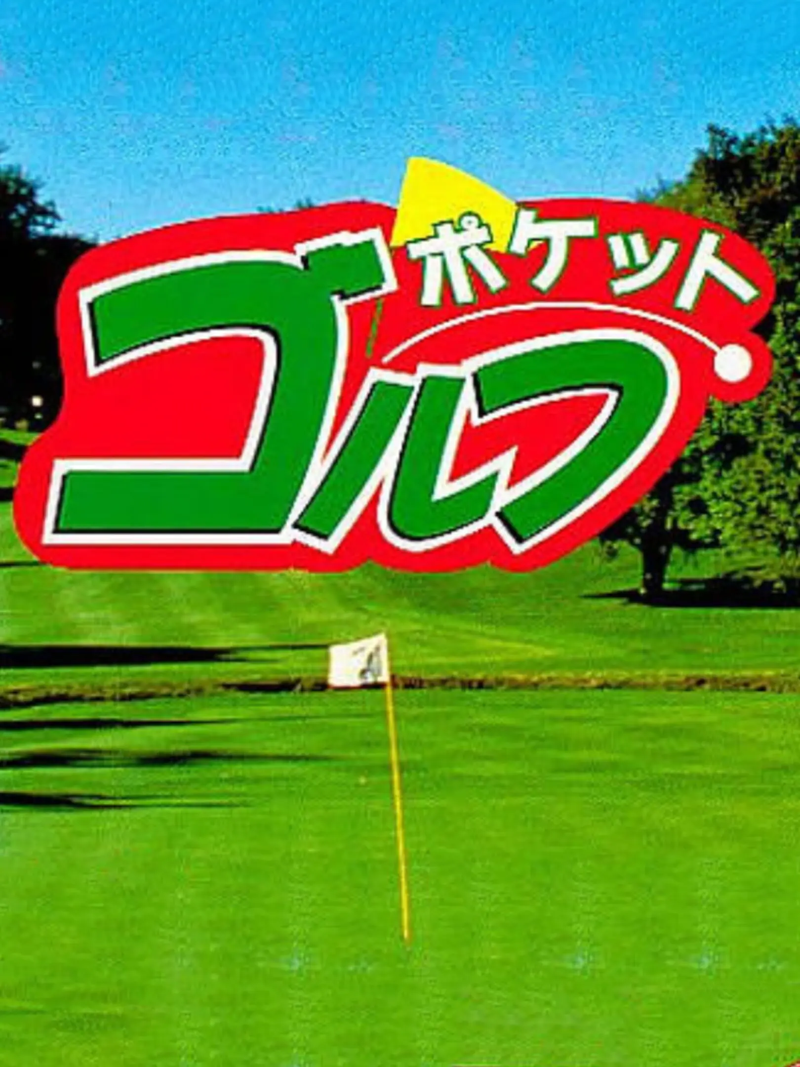 Picture of Pocket Golf