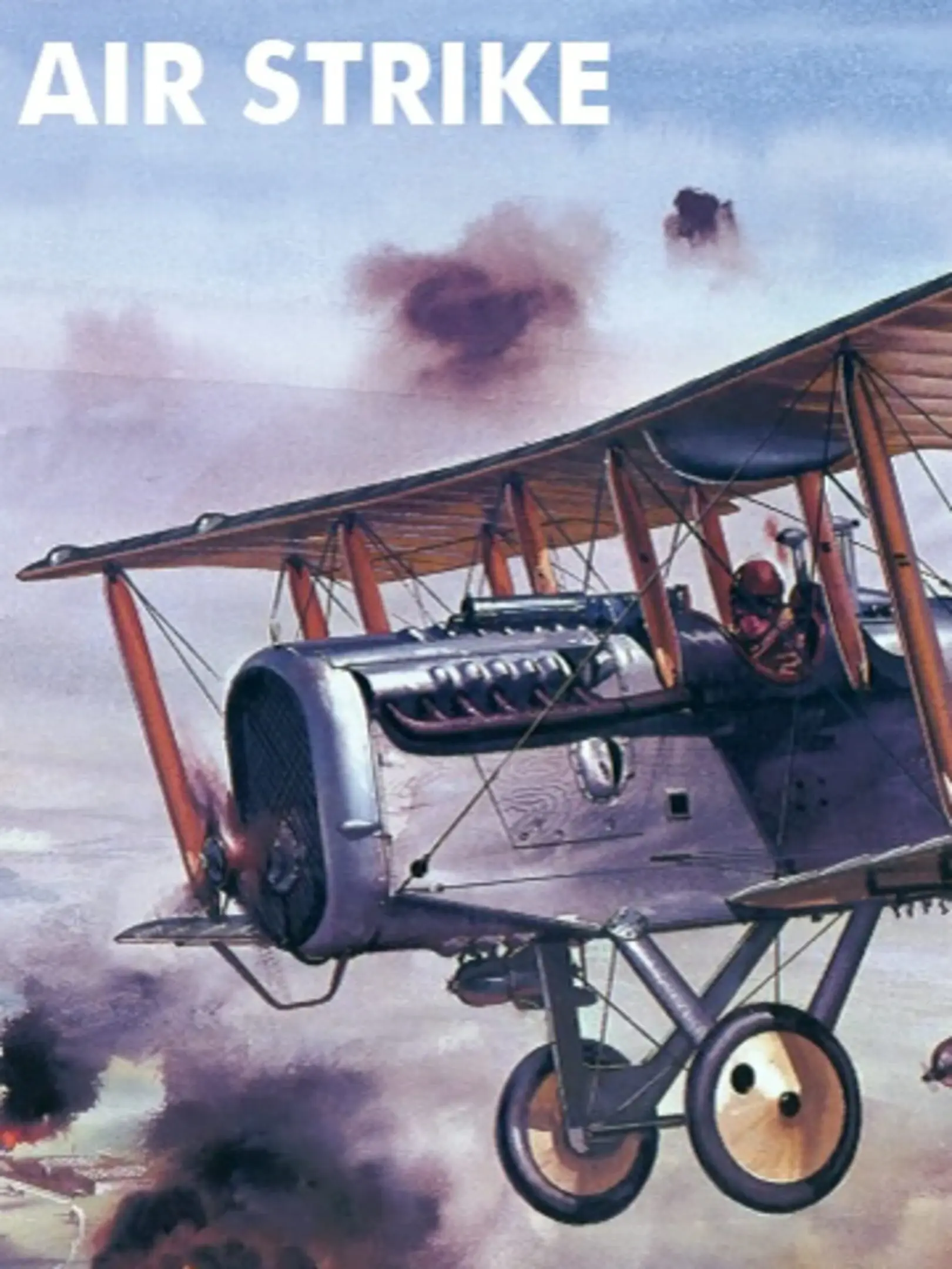 Picture of Air Strike